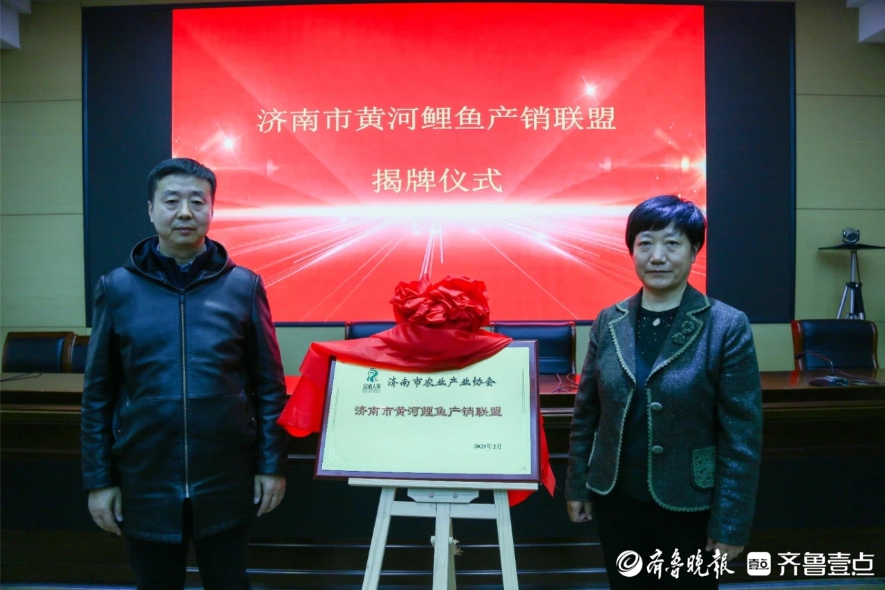 擦亮“黄河鲤鱼”名片，济南市黄河鲤鱼产销联盟成立大会举办
