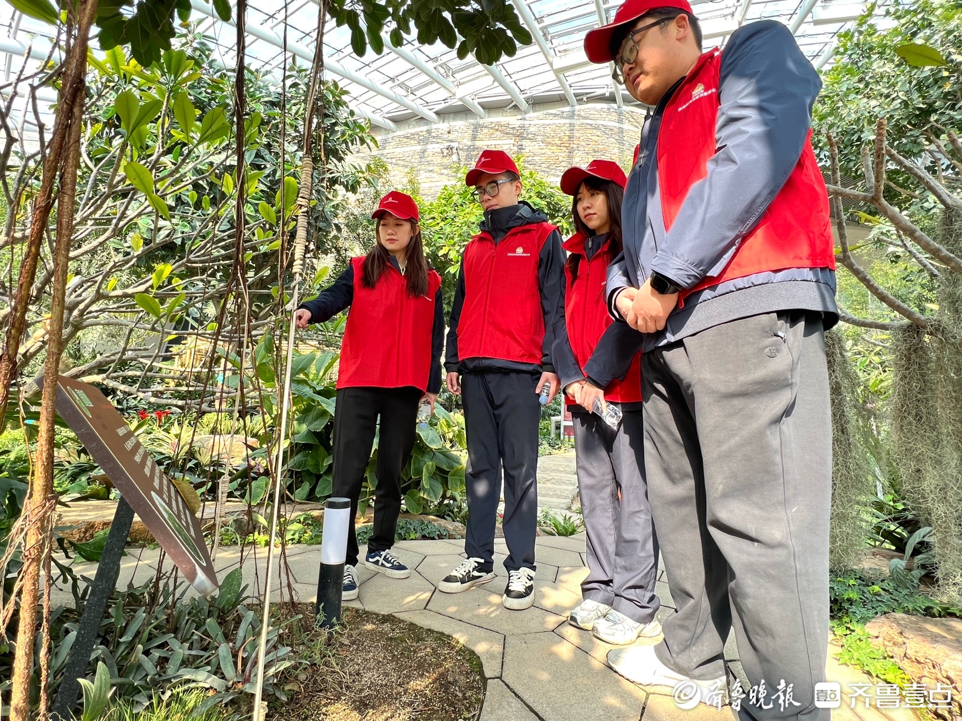 发展同心 责任同行，济南能源青年共“植”青绿