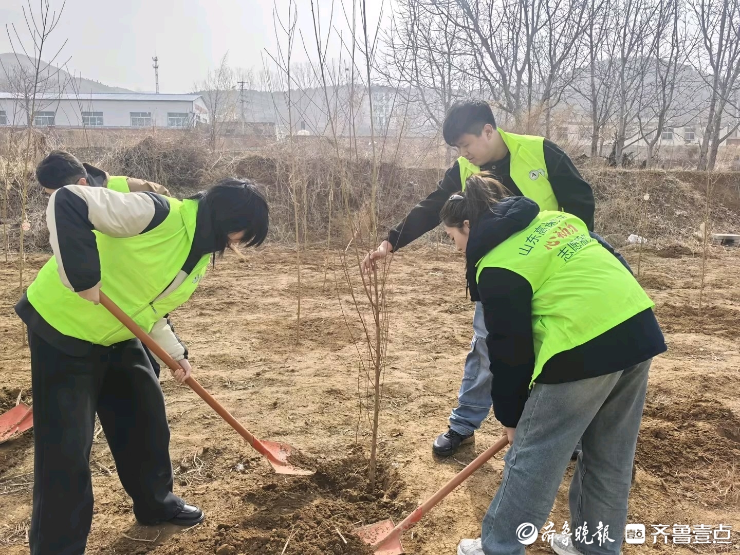 种下希望的树苗，爱心企业开展关爱特殊儿童爱心植树活动