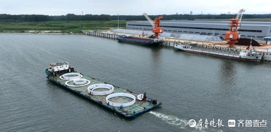 济南交通：以学习教育为引擎，驱动交通事业高质量发展新征程