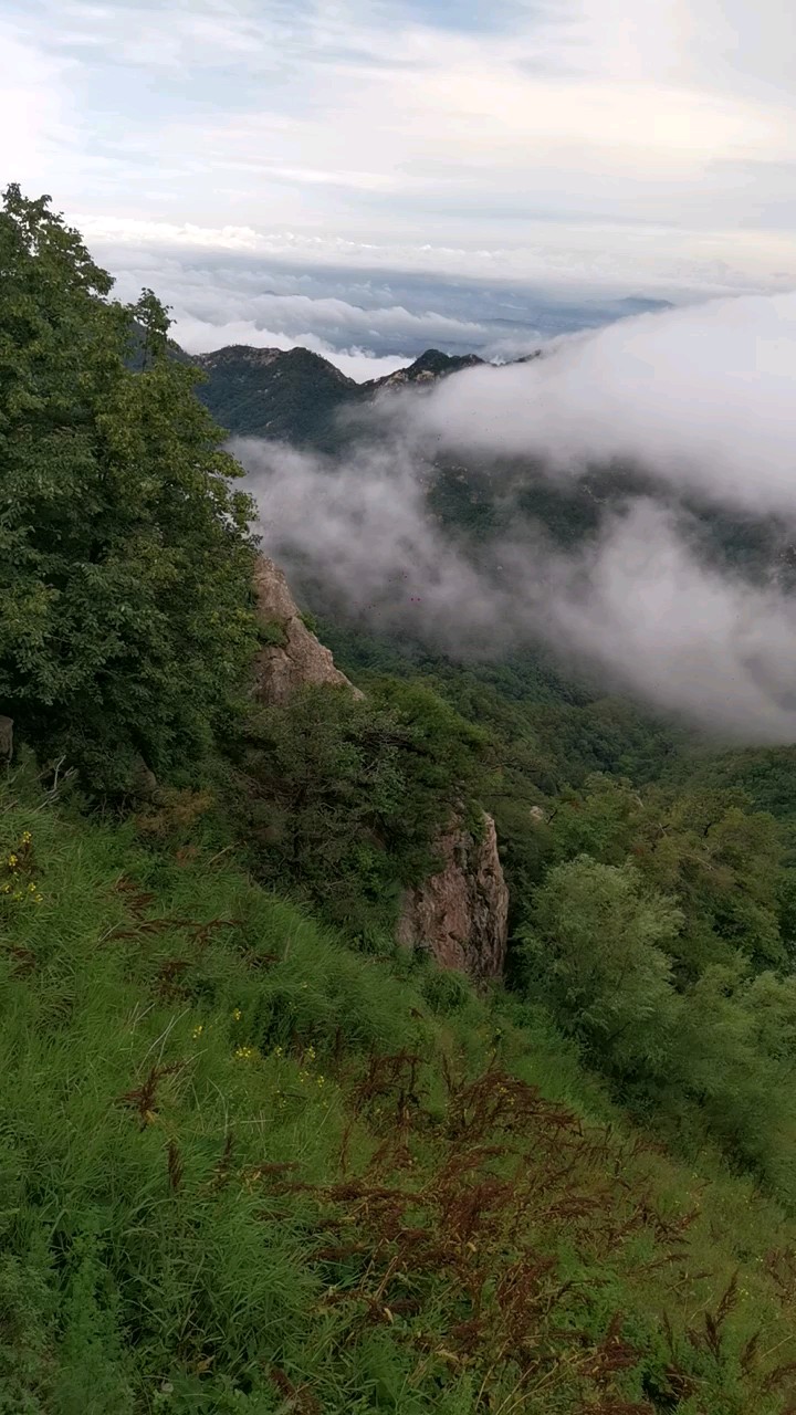 蒙山云海