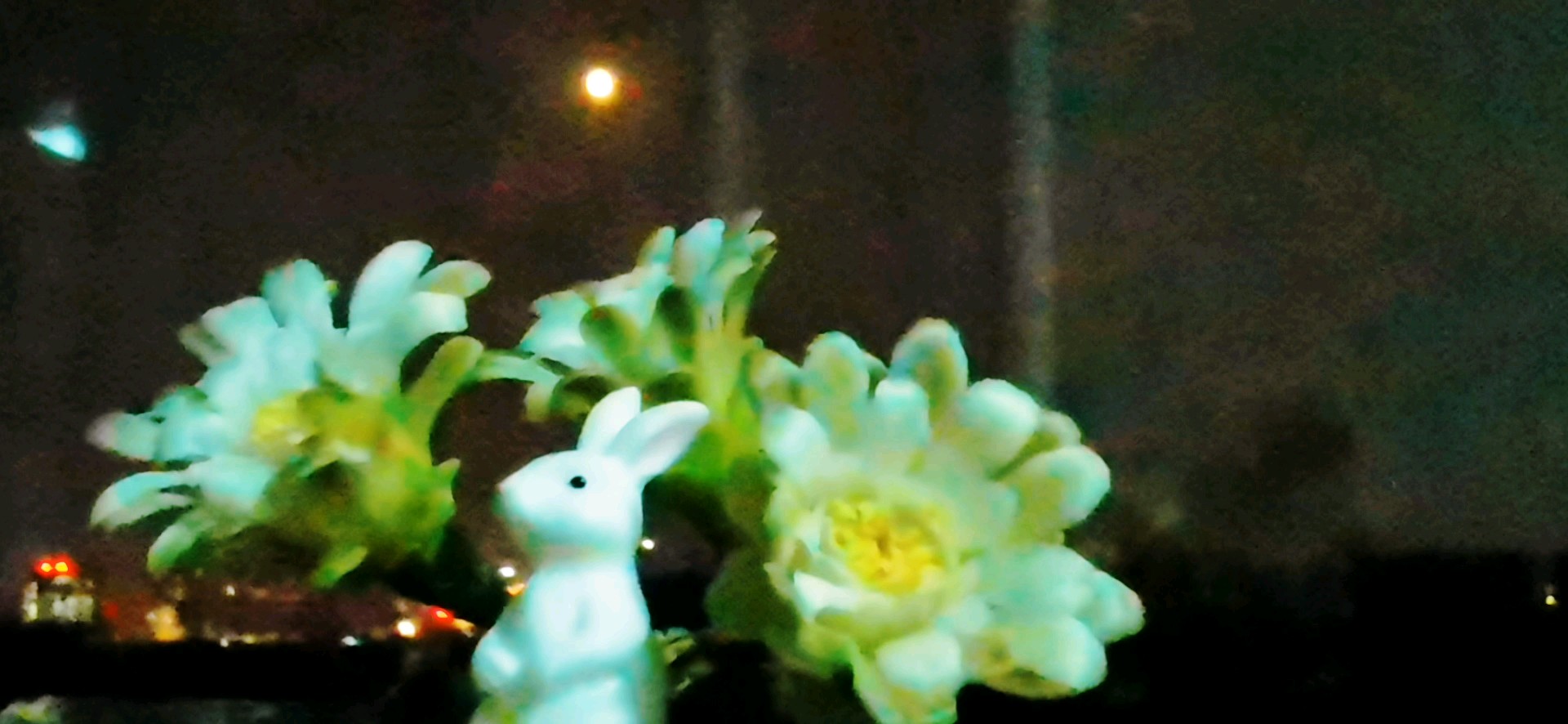 夜晚的风景