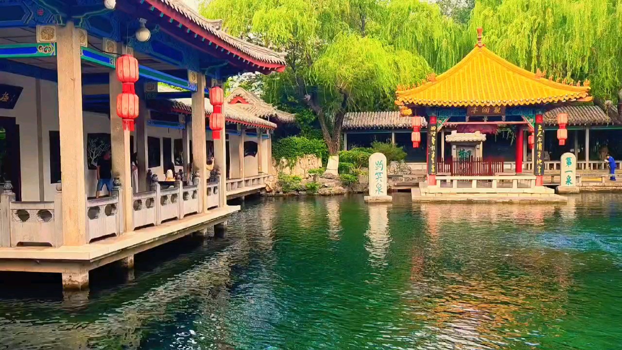 盛夏清晨的趵突泉公园，清泉石上流，绿意葱茏，避暑好去处。