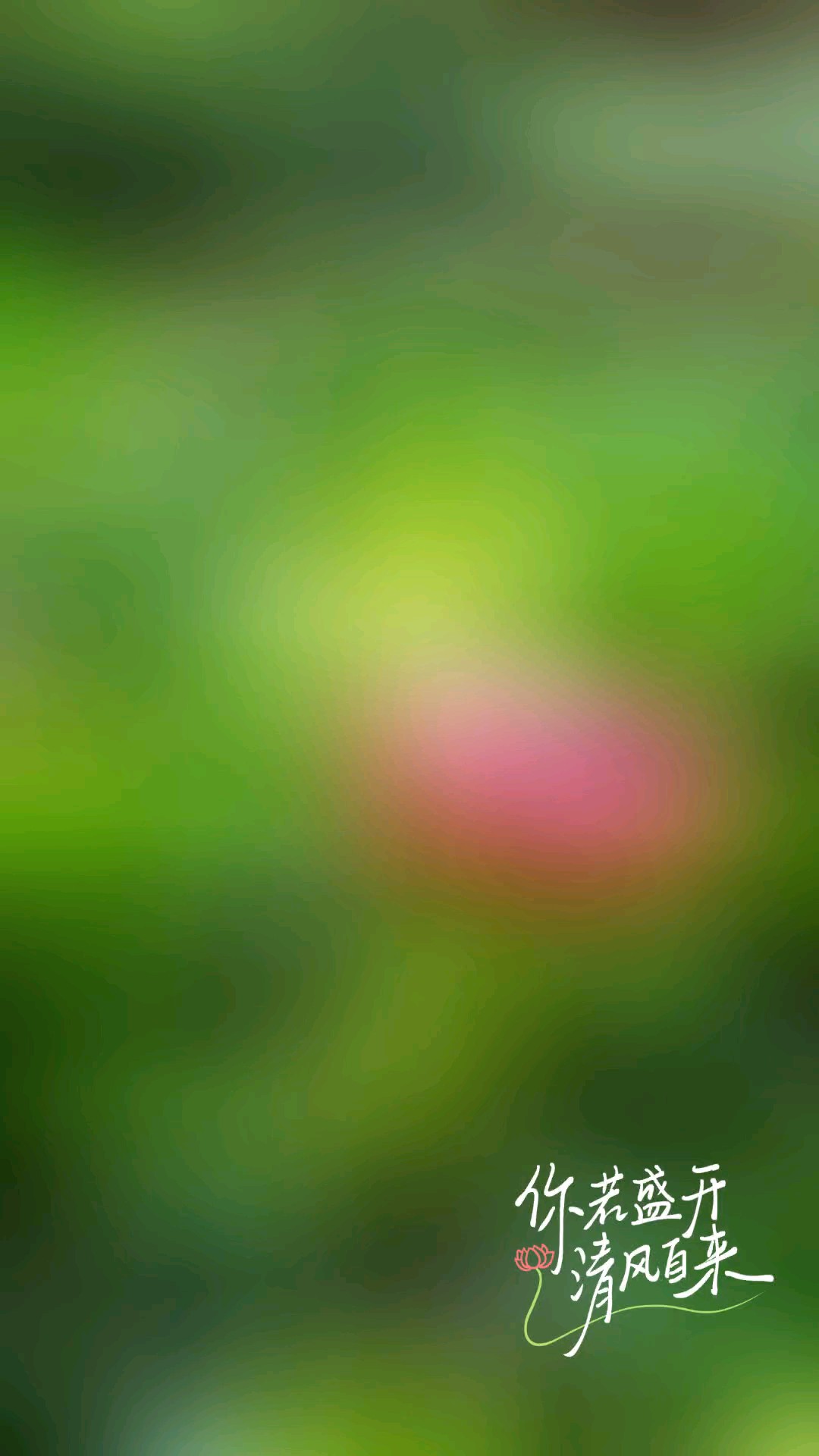 你若盛开，清风自来