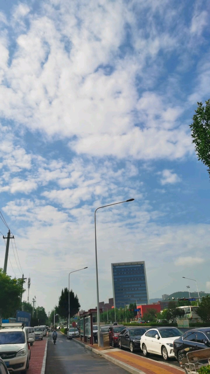 明日大暑，安度炎夏，