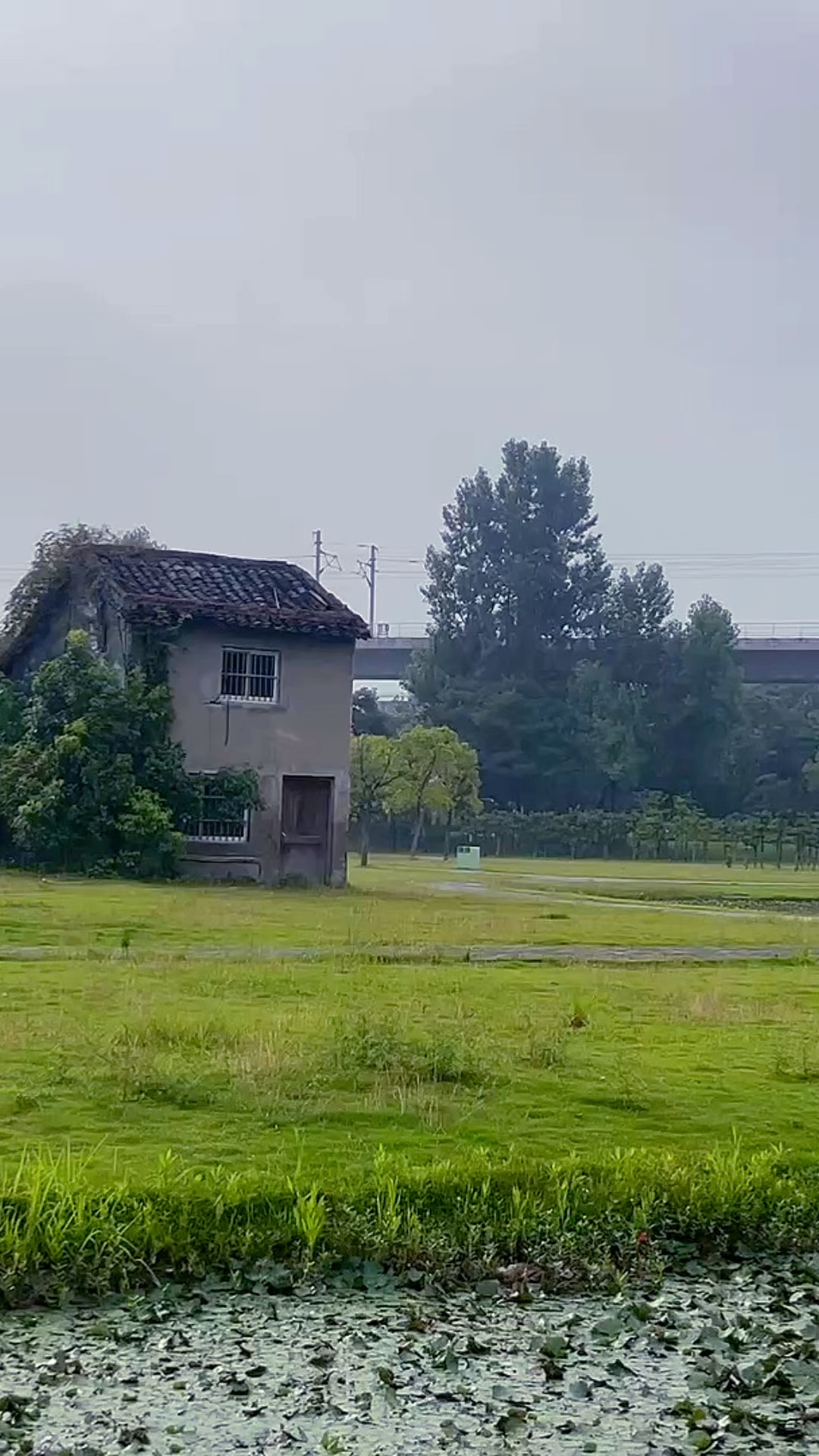 心安茅屋稳，性定菜根香