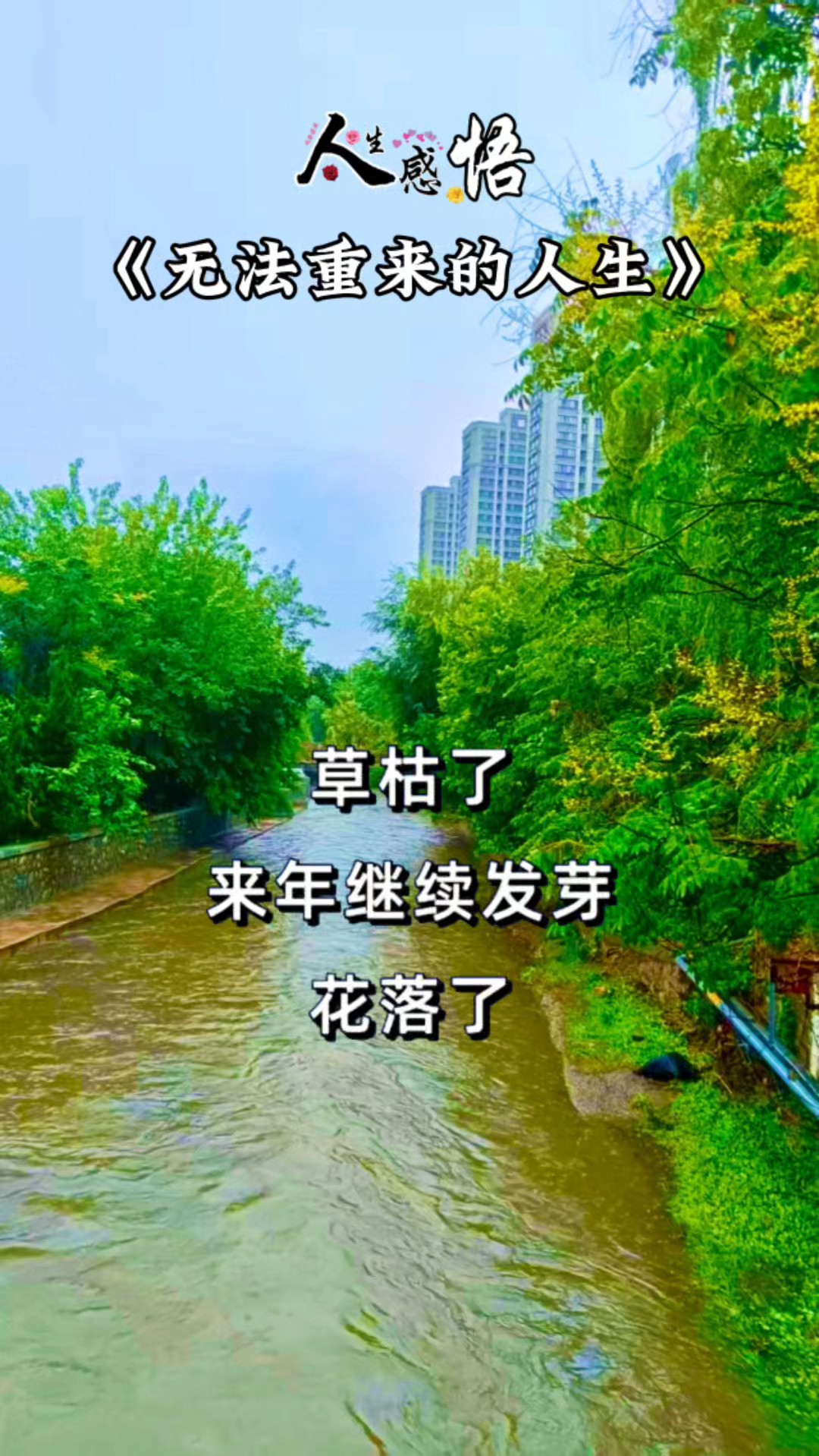 无法重来的一生