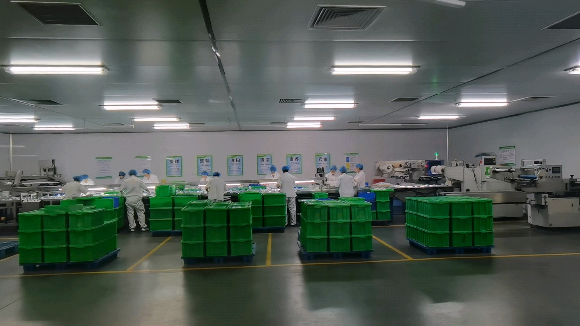 果然视频|您印象中的消毒餐饮具公司是啥样？看看记者探访