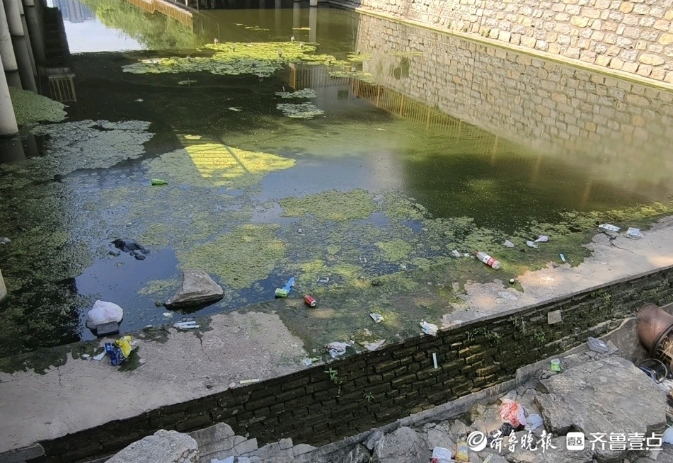 昔日清流变 "垃圾沟"？济南洪山溪垃圾成患臭味扰民