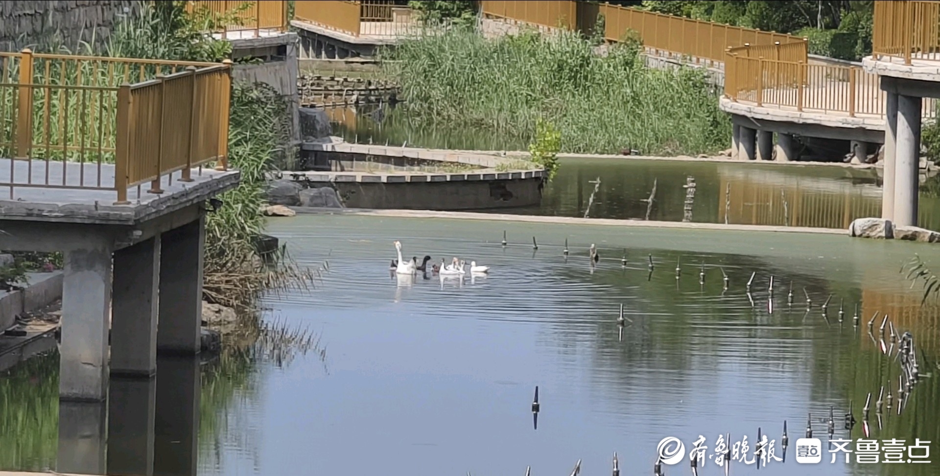 追踪|河道及沿岸垃圾清理完毕，济南洪山溪恢复如初