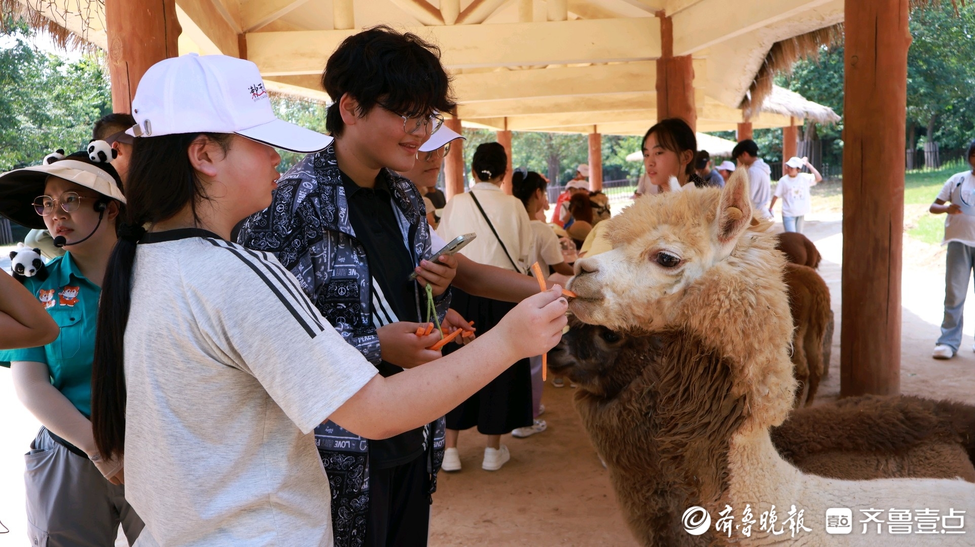 “以后还想再来！”壹点公益暑期公益夏令营走进济南野生动物世界