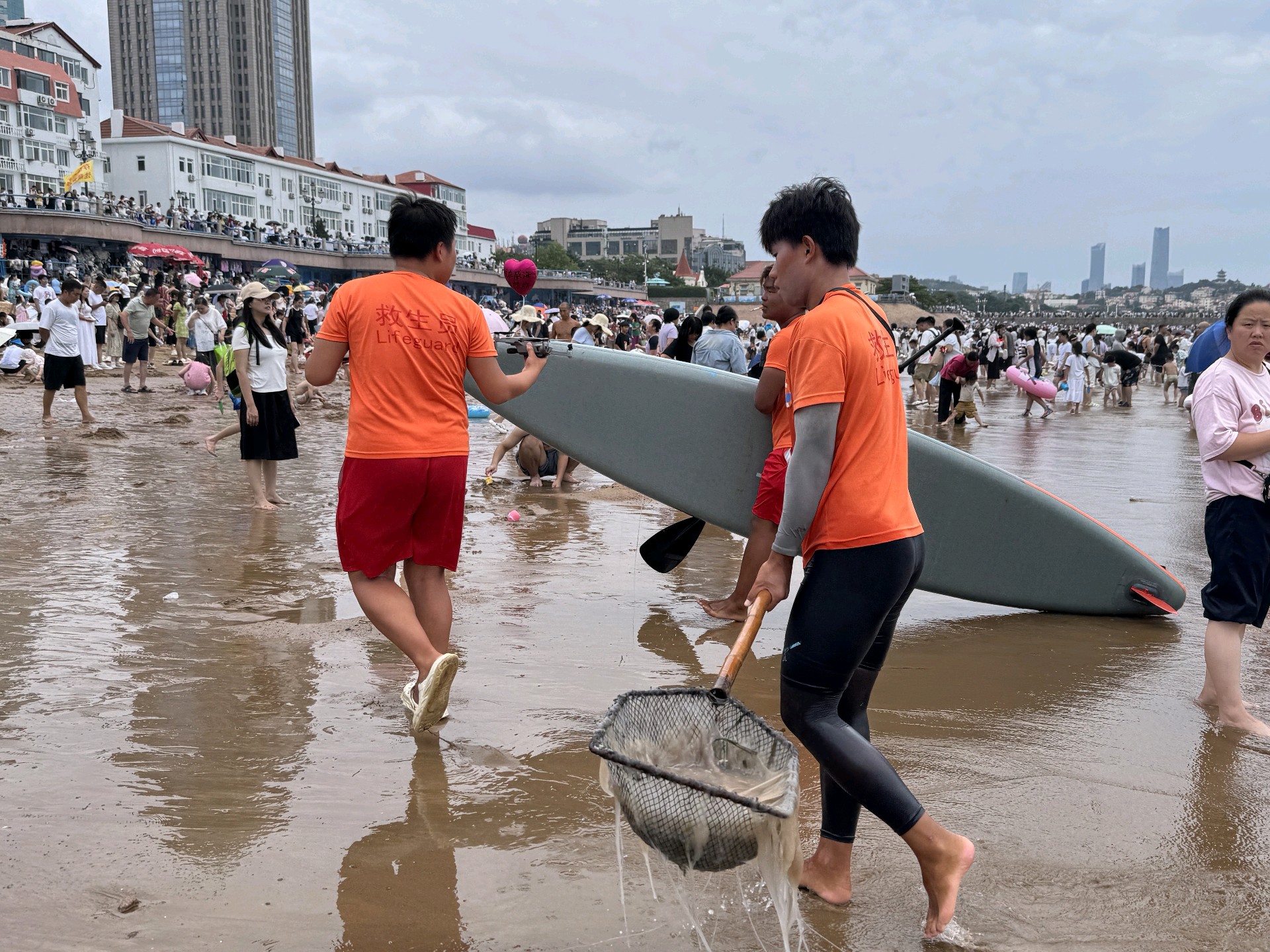 果然视频丨一周打捞30余只！青岛栈桥海水浴场严防“透明刺客”