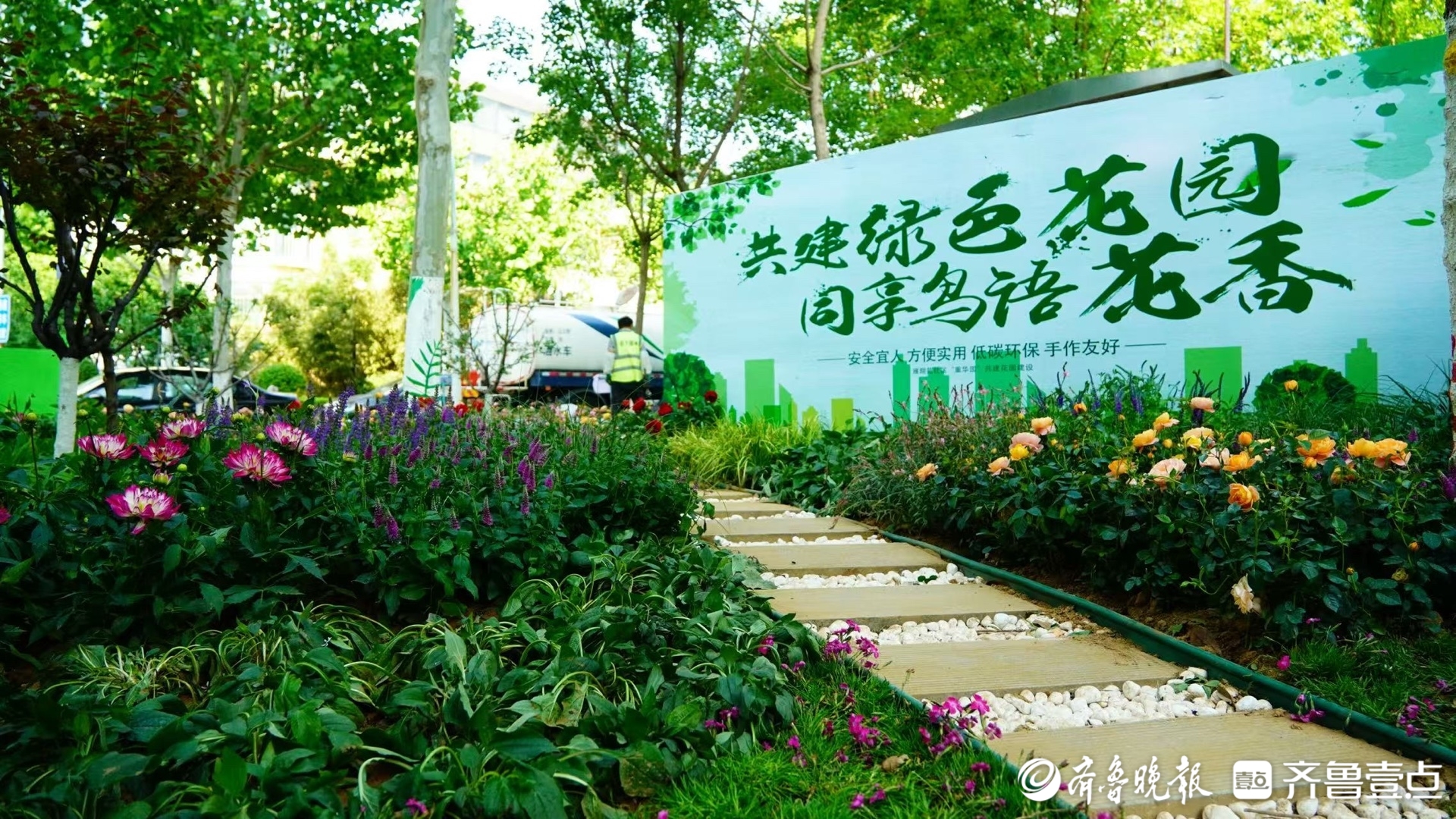 济南历下区“共建花园”：方寸之地绽放社区治理新图景