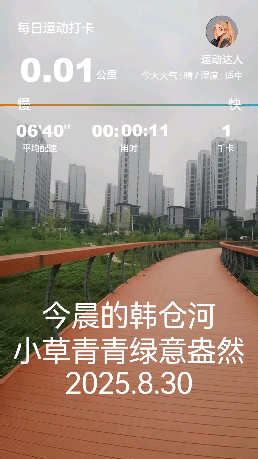 今日清晨的韩仓河，小草青青绿意盎然生机勃勃风景如画
