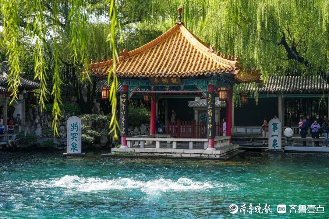 30.29米！趵突泉地下水位创近60年来最高纪录