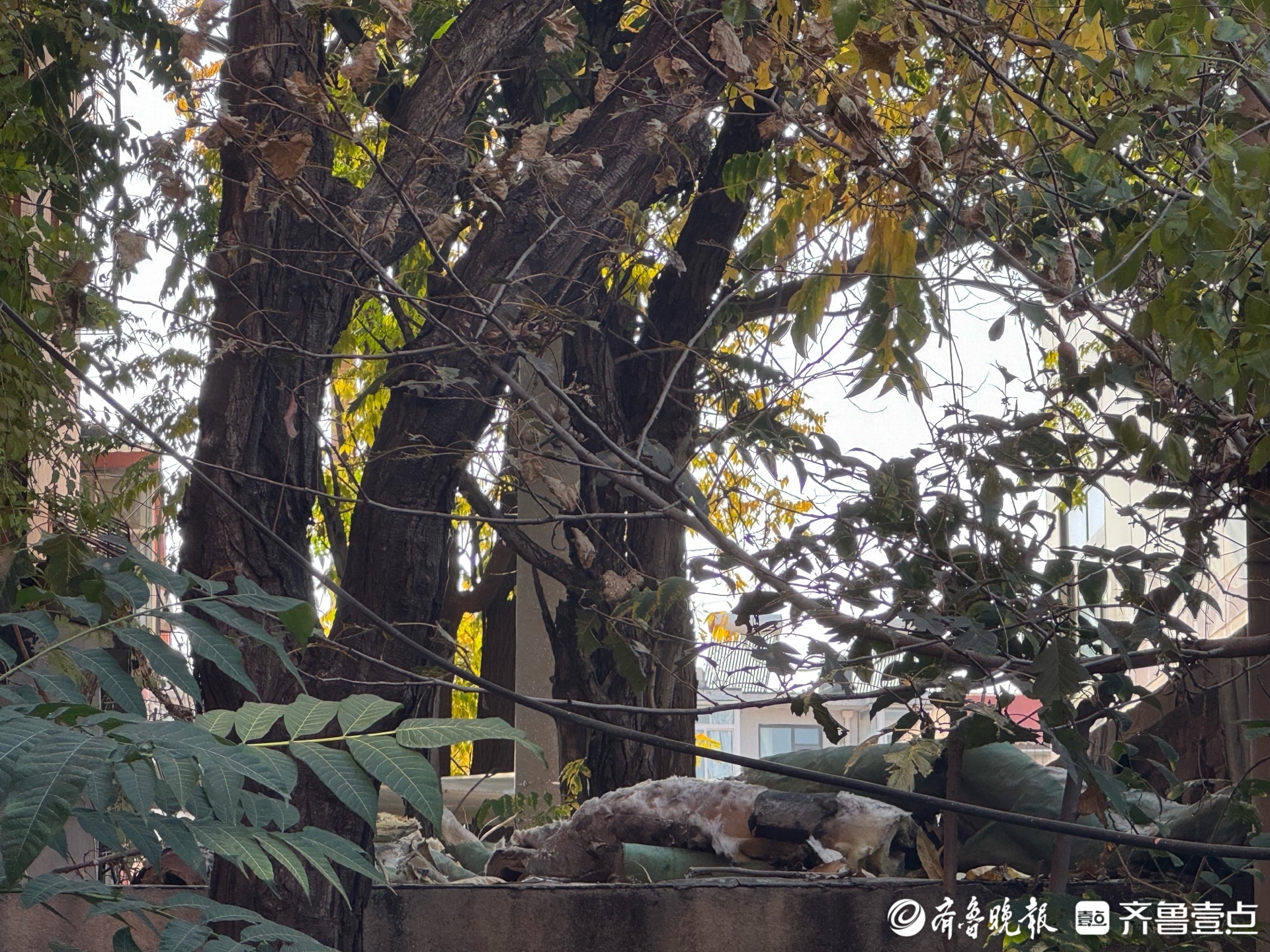 知您冷暖｜供暖维修后落下旧物料，工作人员：将尽快清理