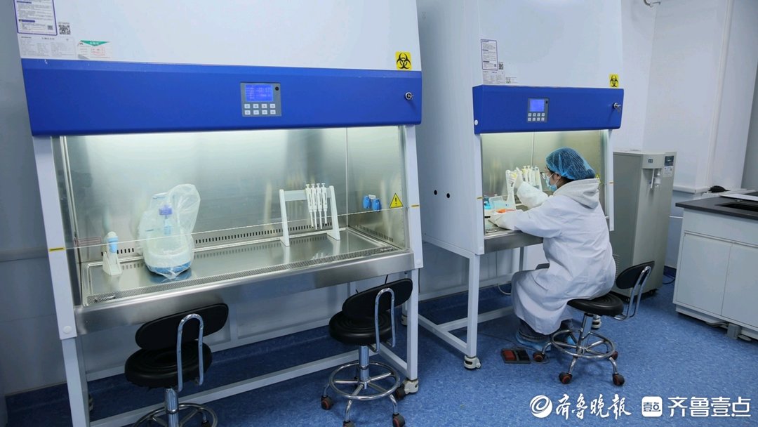 抢滩“双十一”,济南“美丽经济”的突围密码