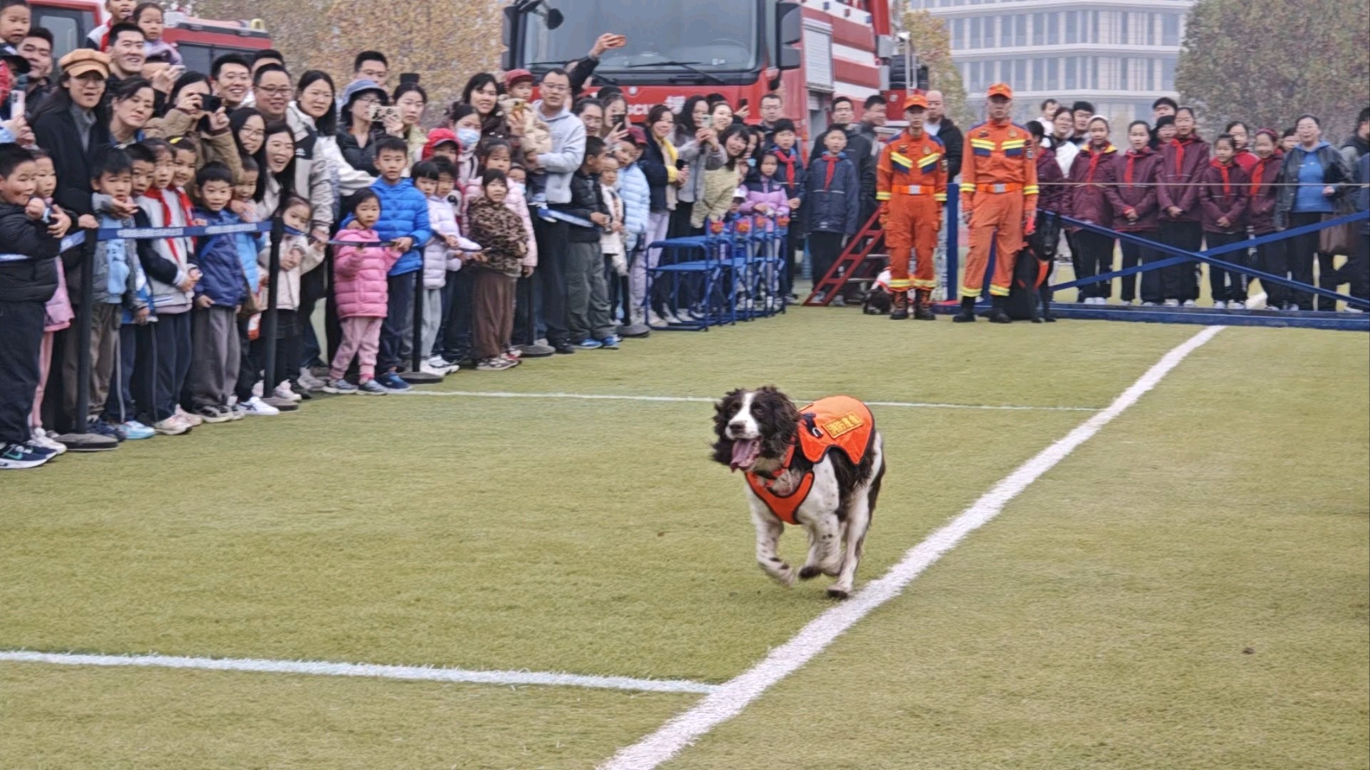 果然视频｜山东消防队站开放日上，搜救犬表演科目人气火爆