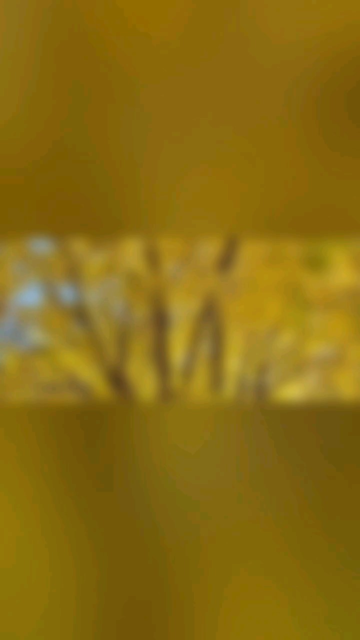 十一月的风，与冬久别重逢，时光流转，已是一地碎金