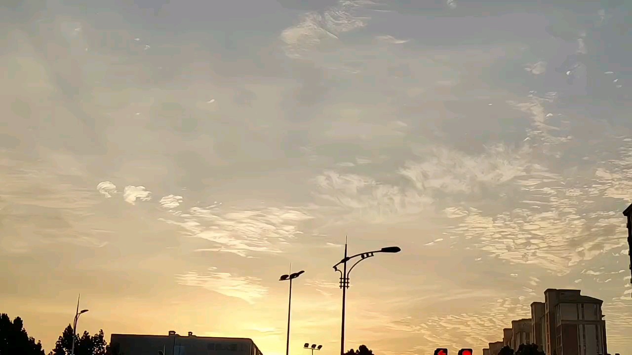 今天天气暖洋洋