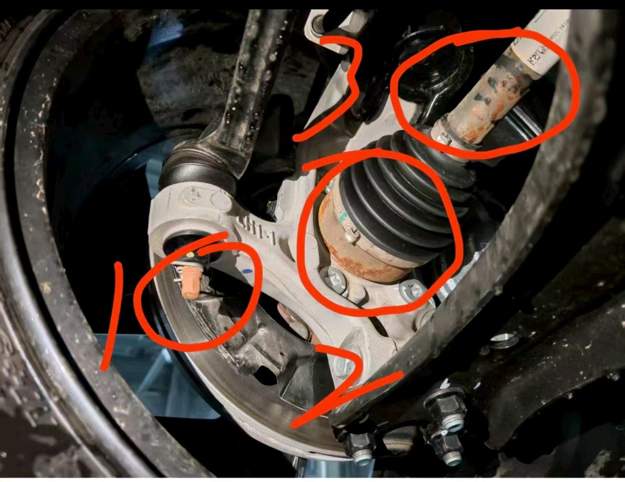 齐鲁晚报网-山东新闻门户 传播品质资讯