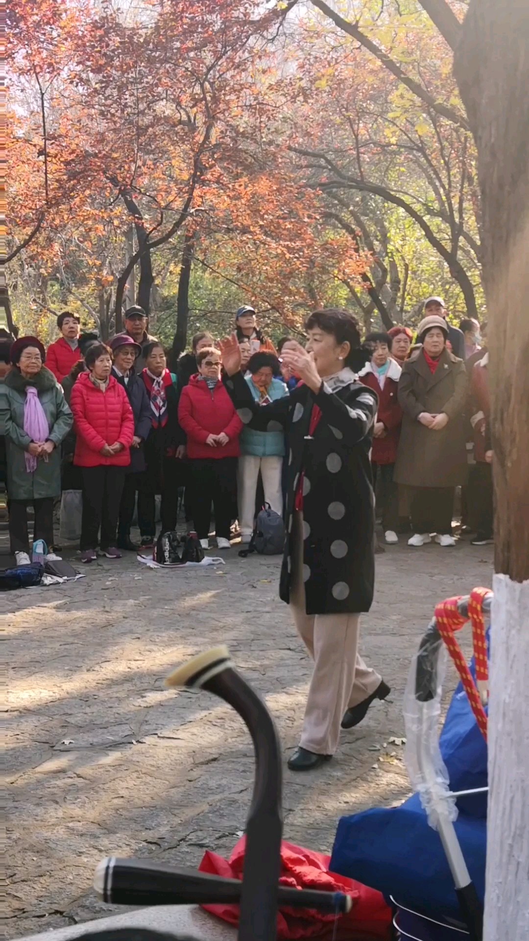 唱红歌∥五龙潭公园里的百姓业余合唱团