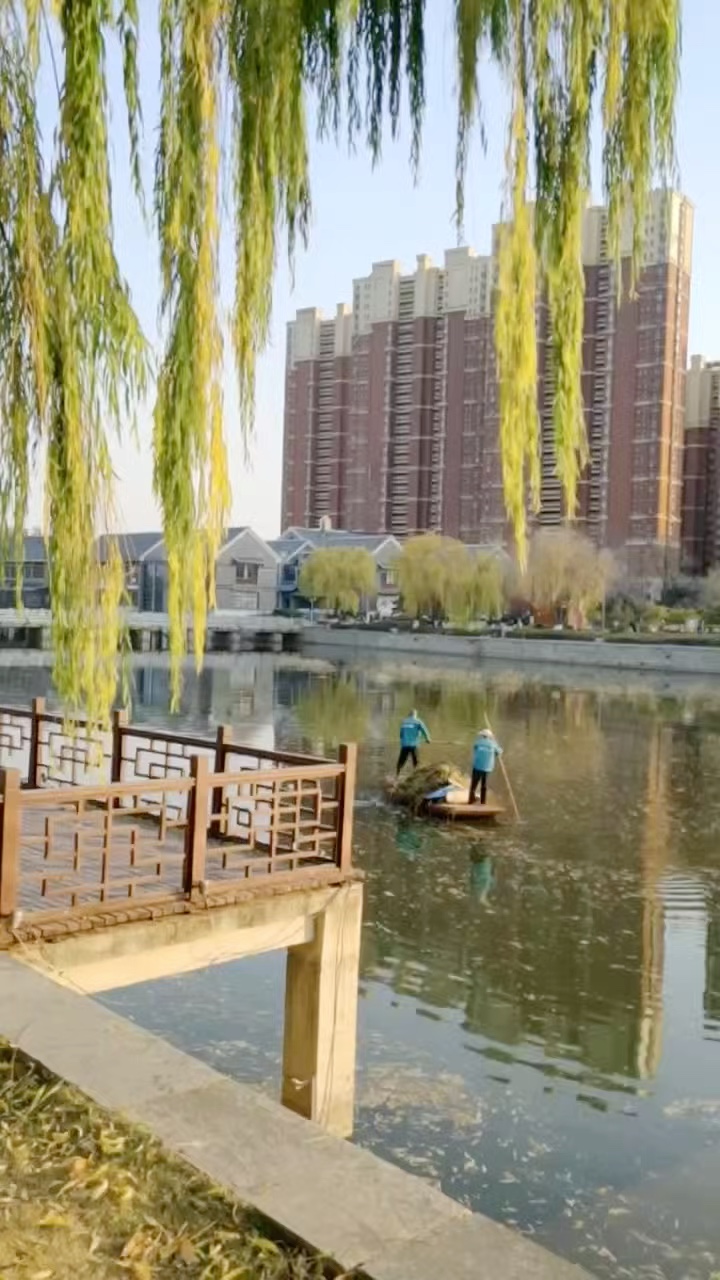 家乡泮河里的化妆师.摄影绿水青山   