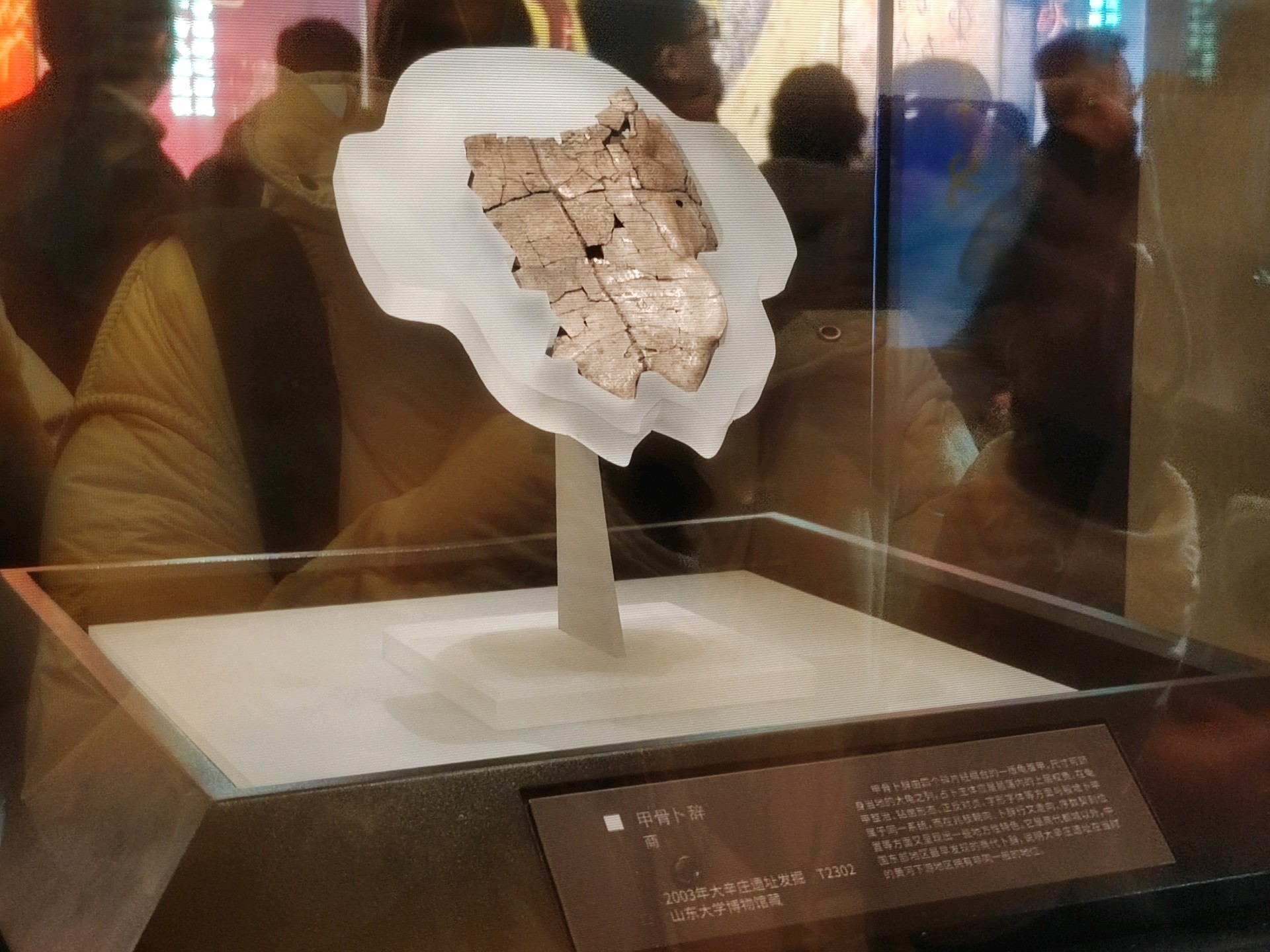 果然视频|历城城发：通过大辛庄遗址博物馆连接历史和未来