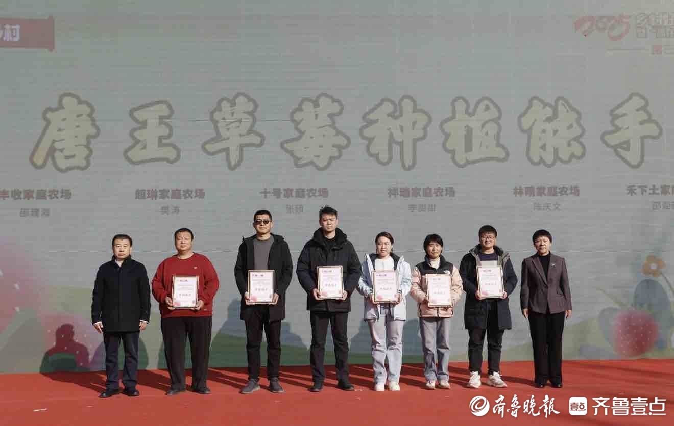 田园盛宴迎冬来，历城区第三届白菜草莓丰收季开幕