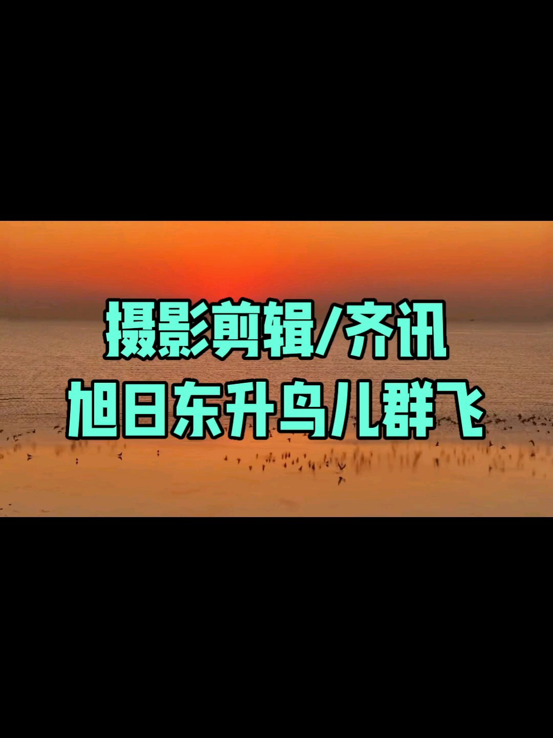摄影剪辑/齐讯/旭日东升鸟儿群飞