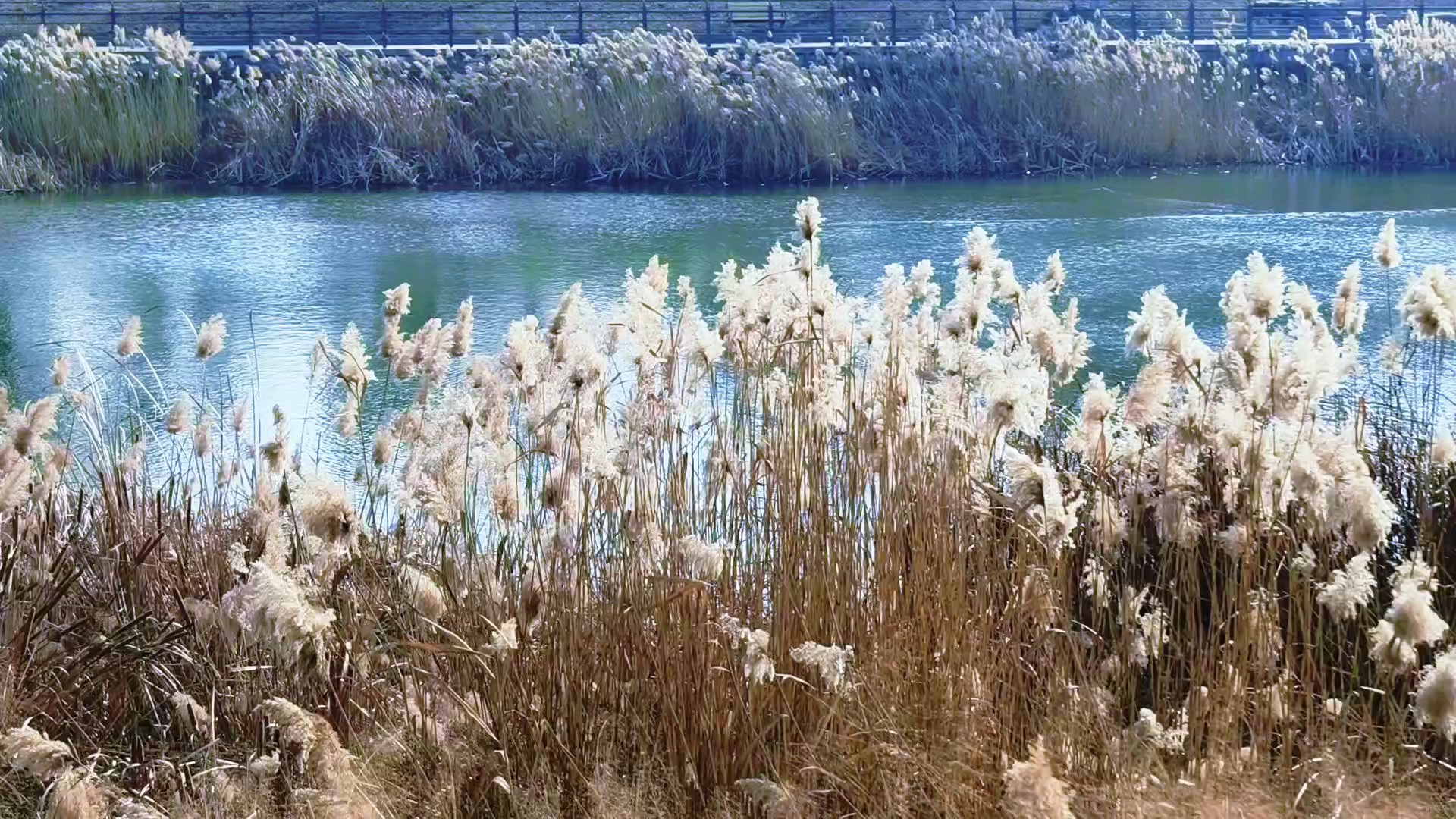  大雪节气两重天：2024雪漫庭，2025日照窗。