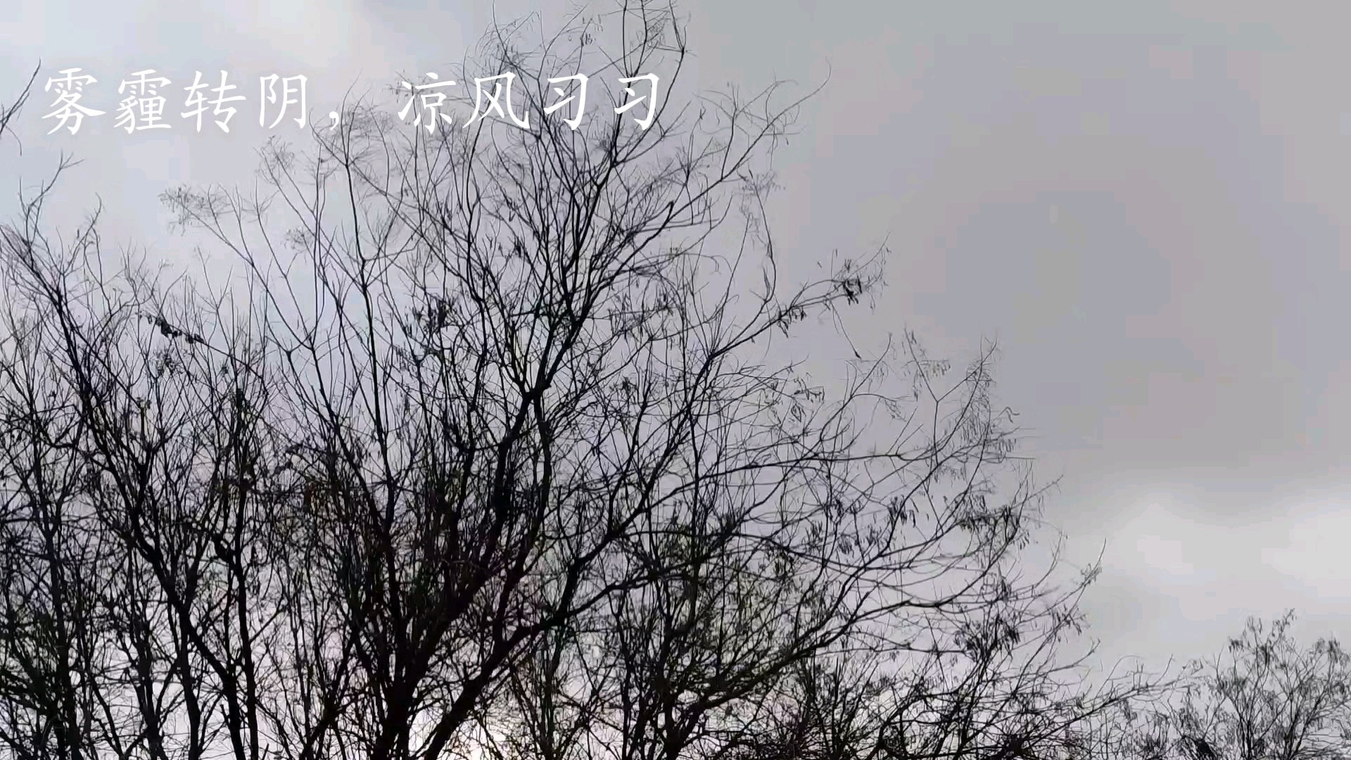 雾霾转阴，冷风飕飕，今天好冷呀