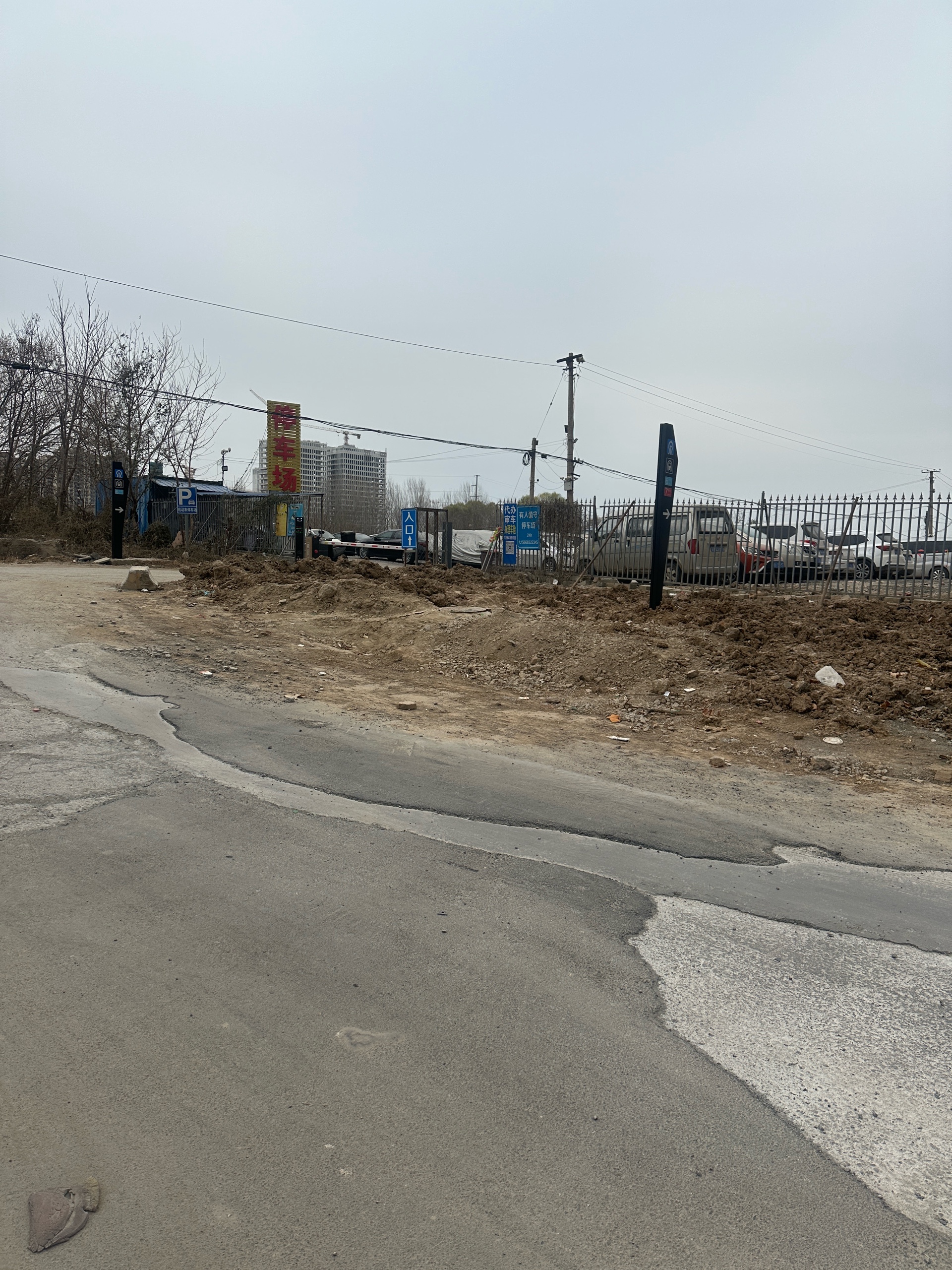 齐鲁晚报网-山东新闻门户 传播品质资讯