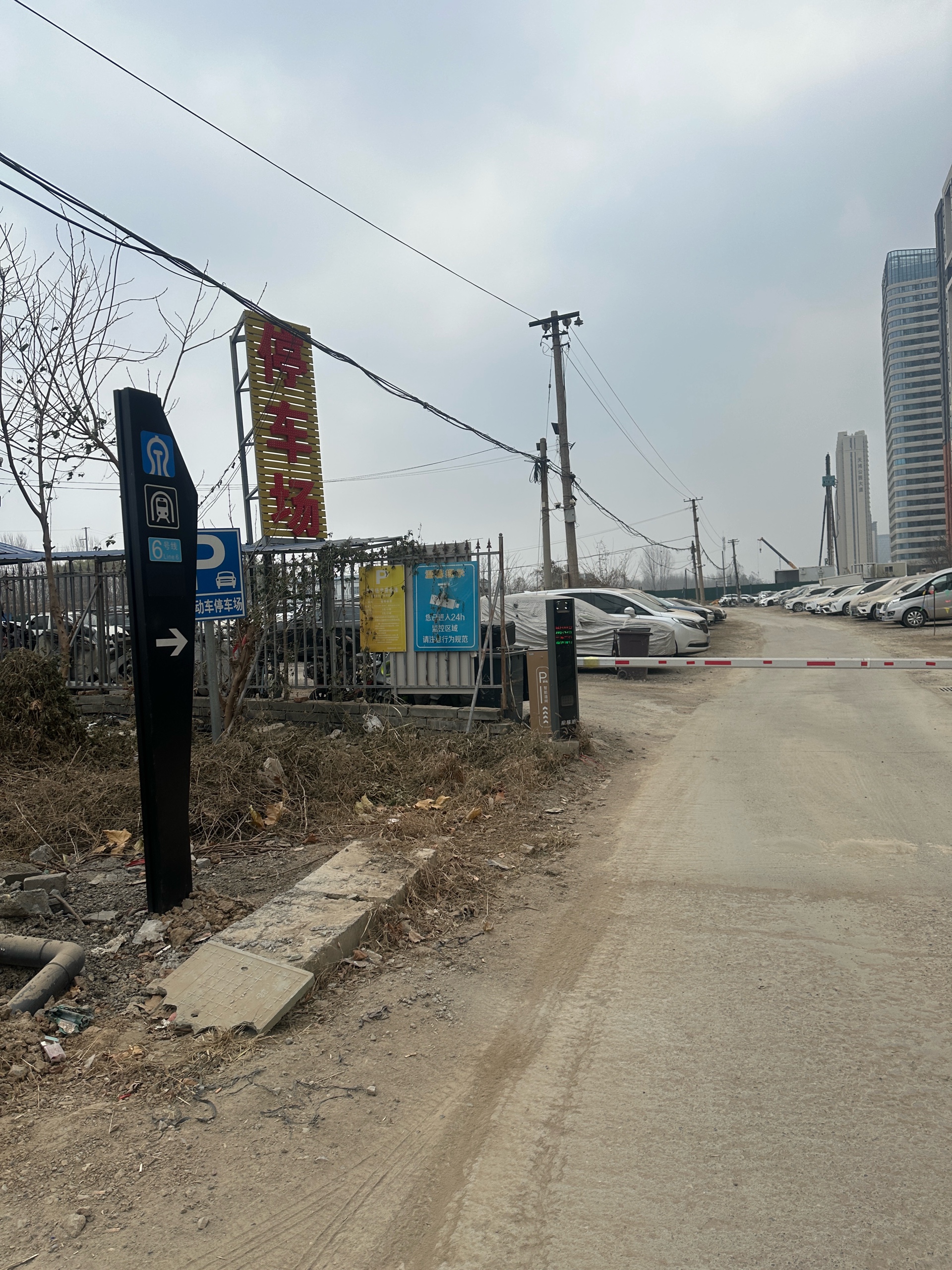 齐鲁晚报网-山东新闻门户 传播品质资讯