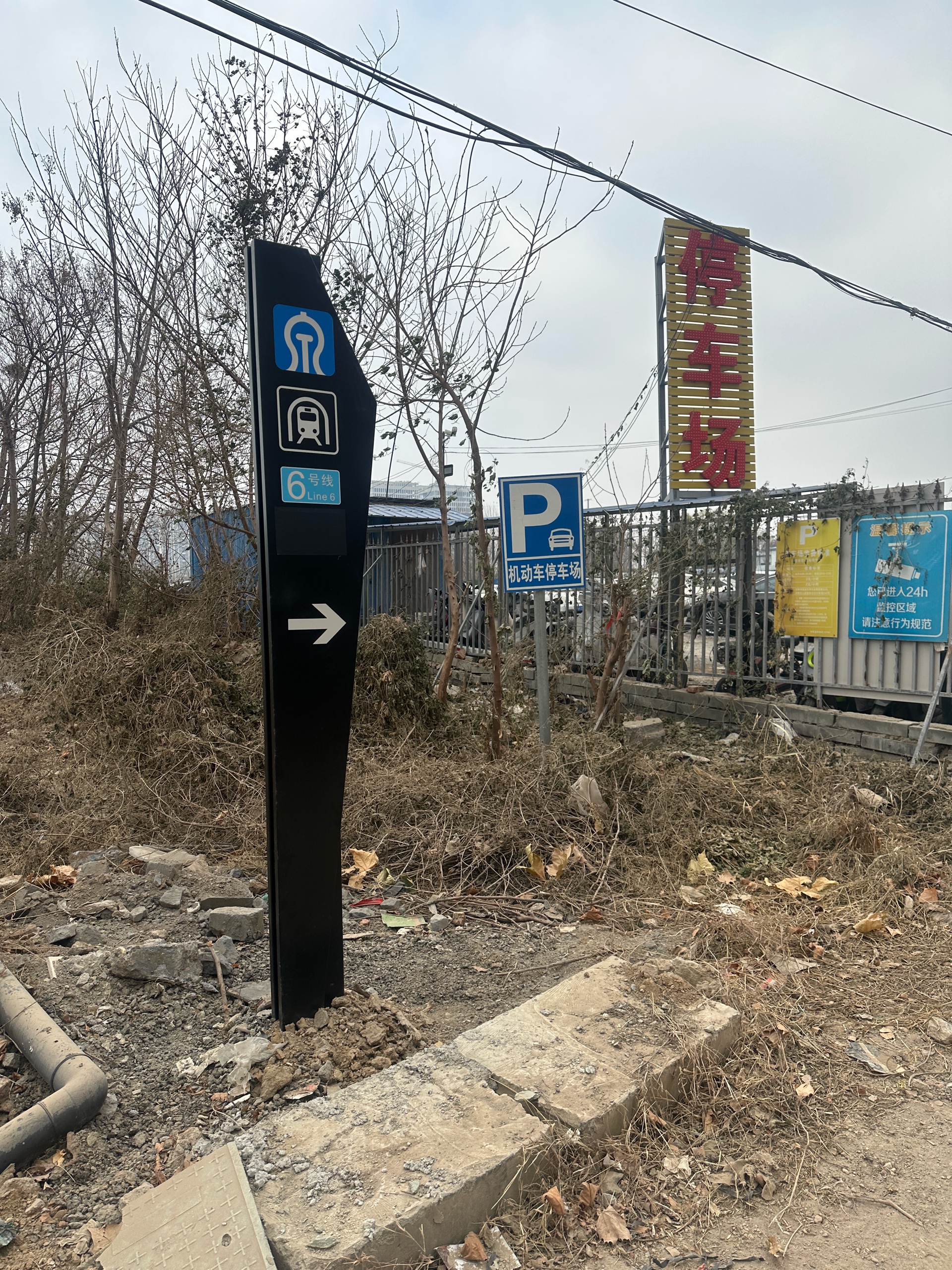 齐鲁晚报网-山东新闻门户 传播品质资讯