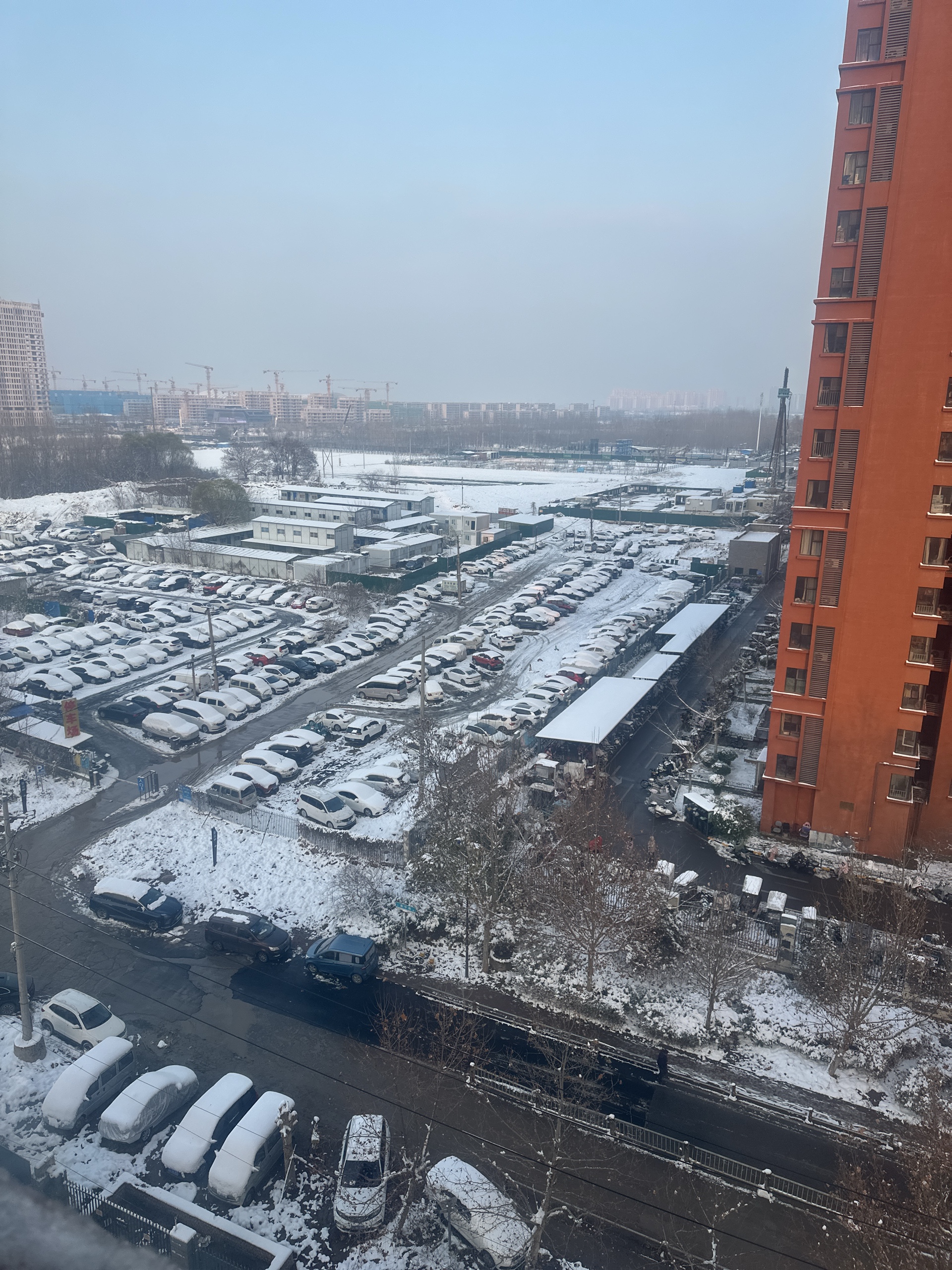 齐鲁晚报网-山东新闻门户 传播品质资讯