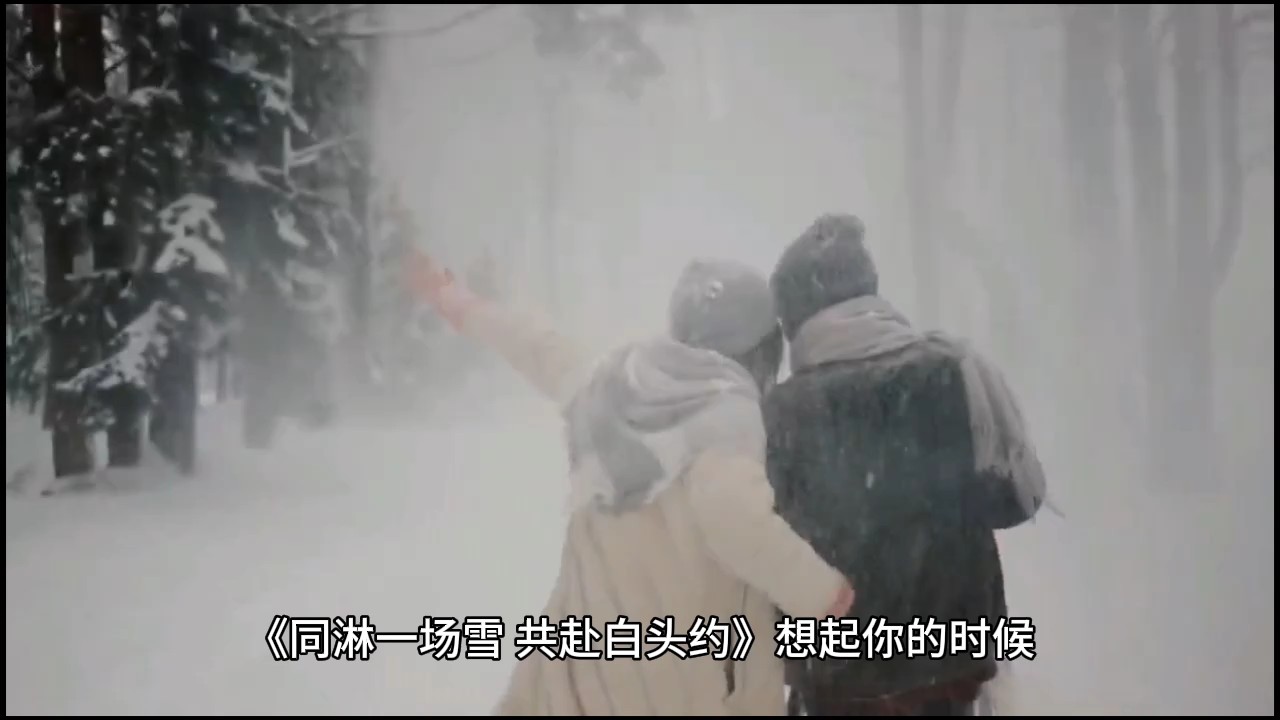 《同淋一场雪共赴白首约》丹香花雨文剪映配图