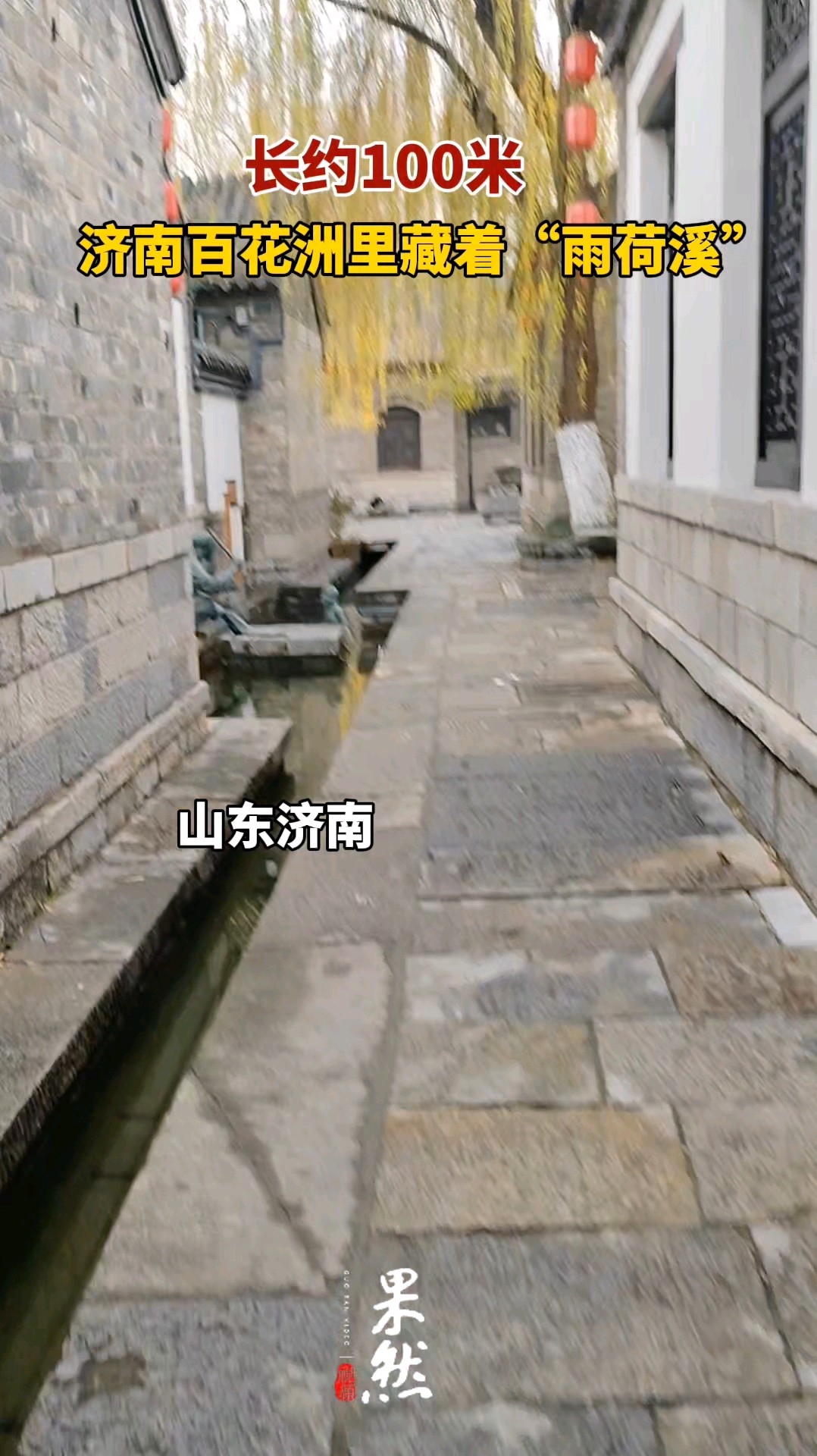 果然视频|长约100米，济南百花洲里藏着“雨荷溪”