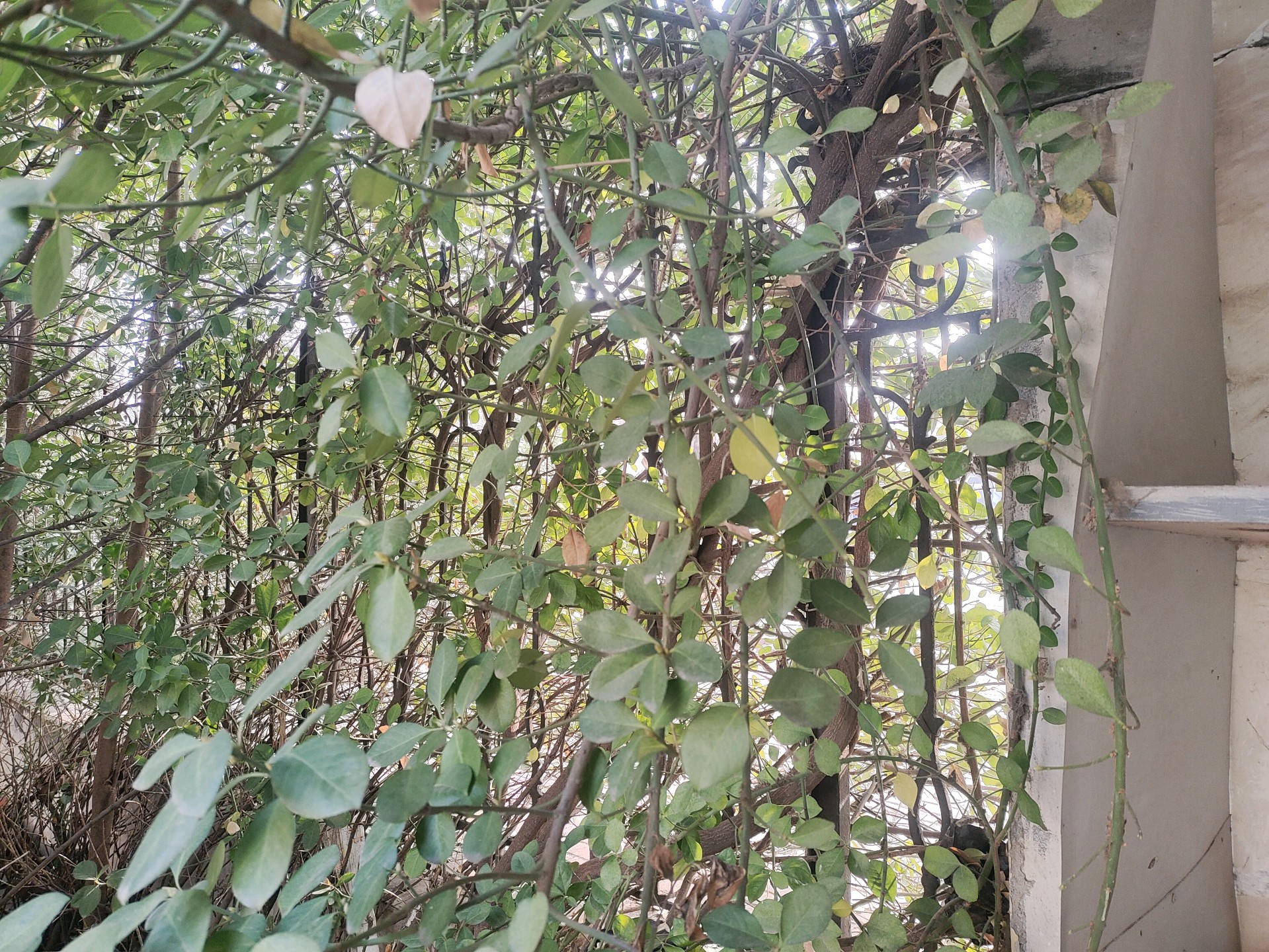 齐鲁晚报网-山东新闻门户 传播品质资讯