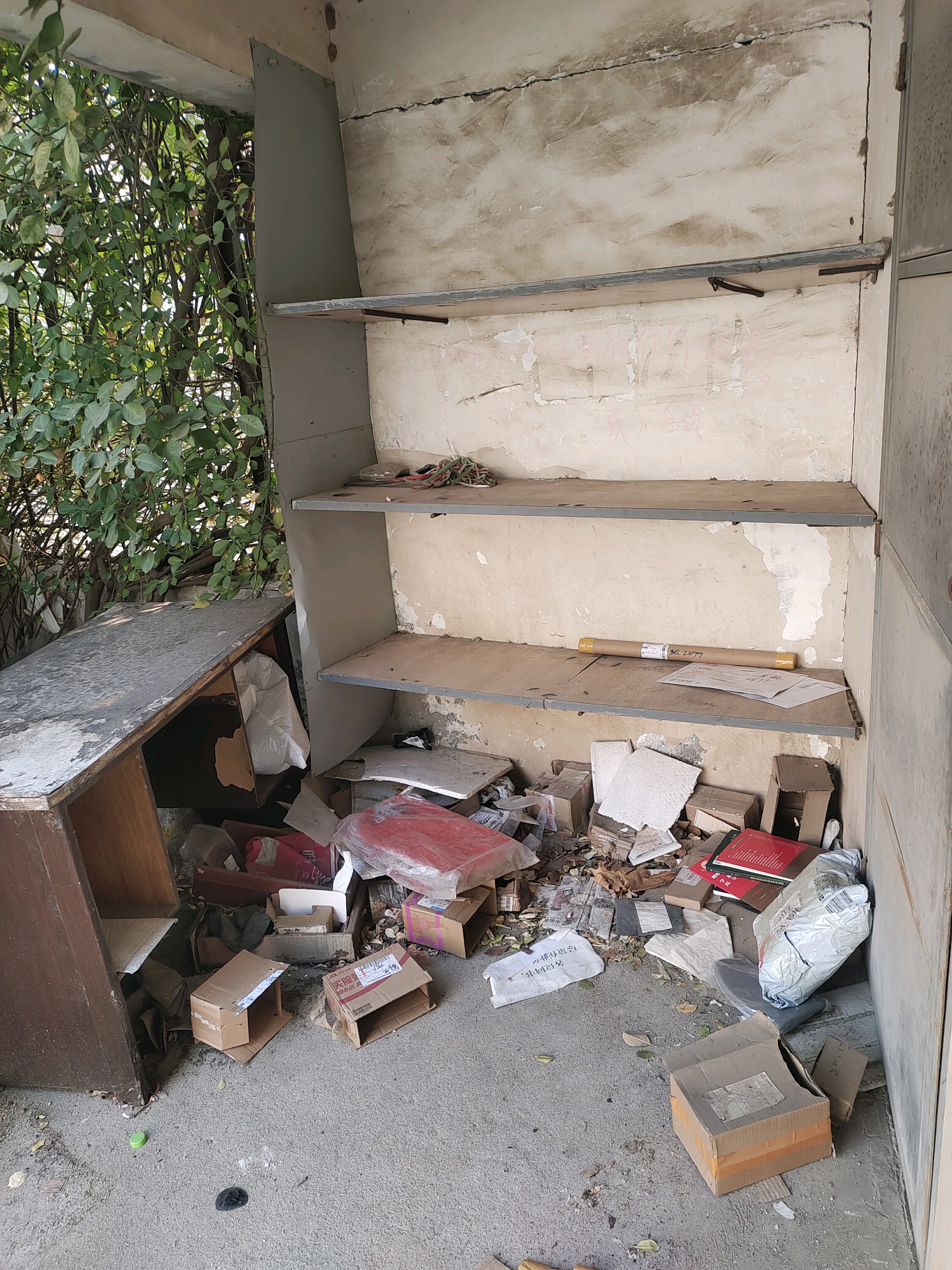 齐鲁晚报网-山东新闻门户 传播品质资讯