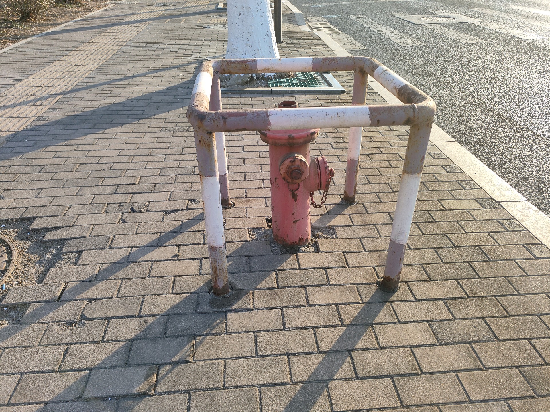 齐鲁晚报网-山东新闻门户 传播品质资讯