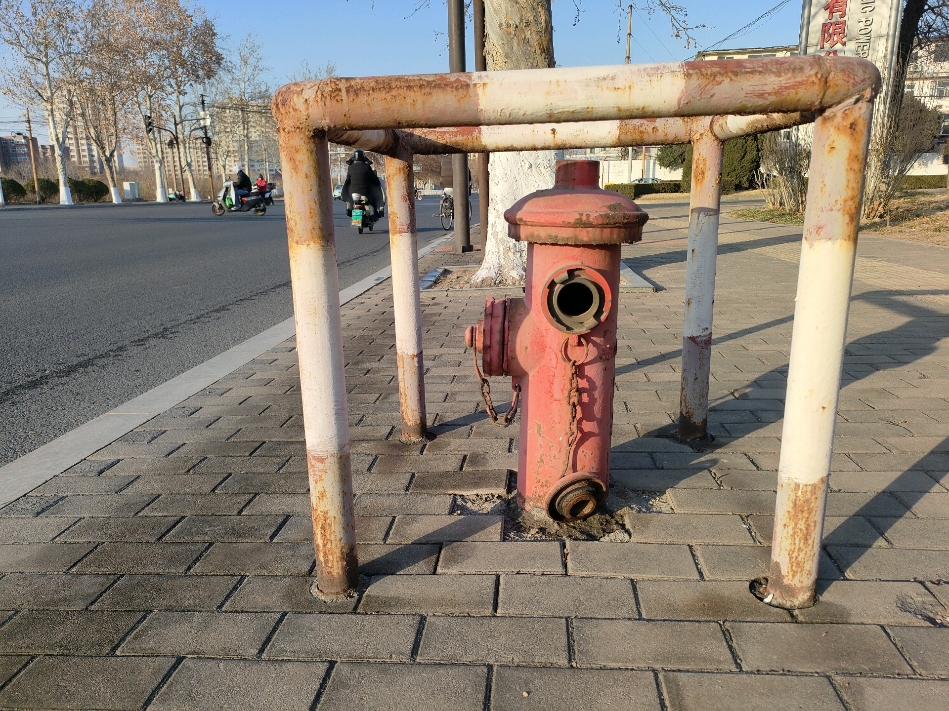 齐鲁晚报网-山东新闻门户 传播品质资讯