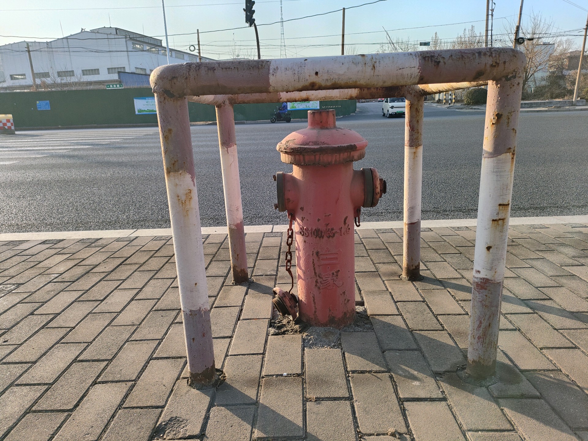 齐鲁晚报网-山东新闻门户 传播品质资讯