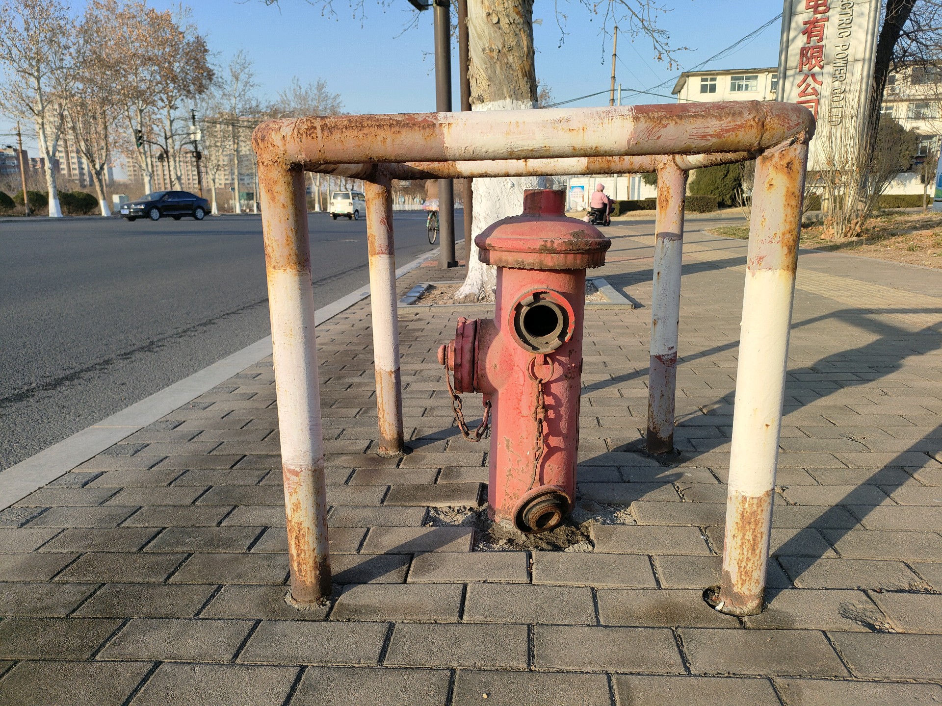 齐鲁晚报网-山东新闻门户 传播品质资讯