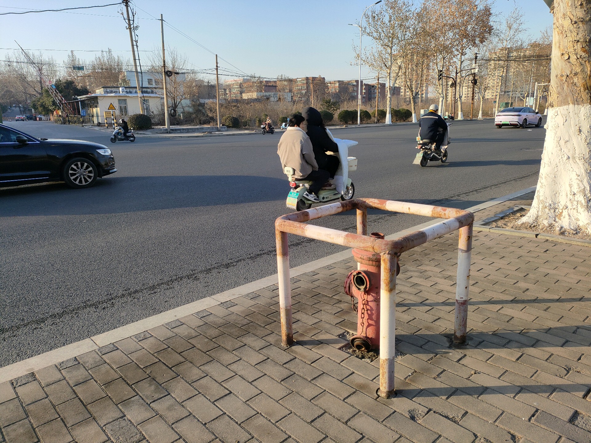 齐鲁晚报网-山东新闻门户 传播品质资讯