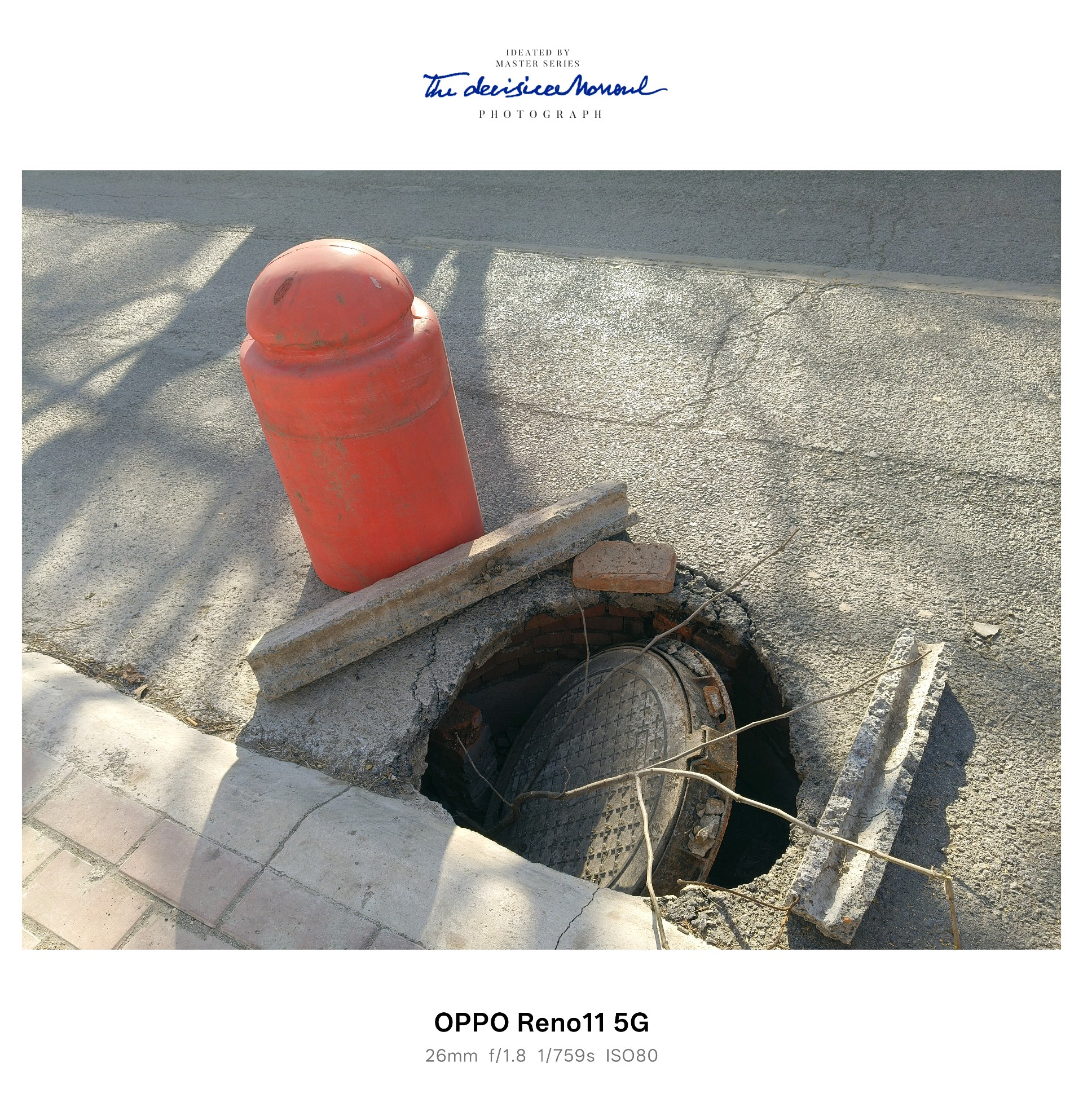 齐鲁晚报网-山东新闻门户 传播品质资讯