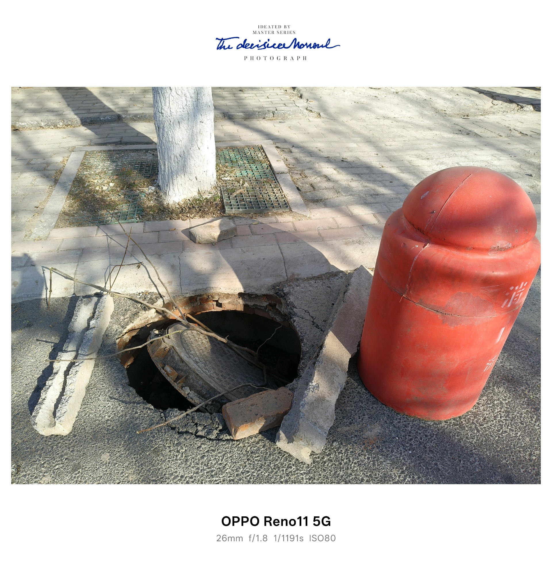 齐鲁晚报网-山东新闻门户 传播品质资讯