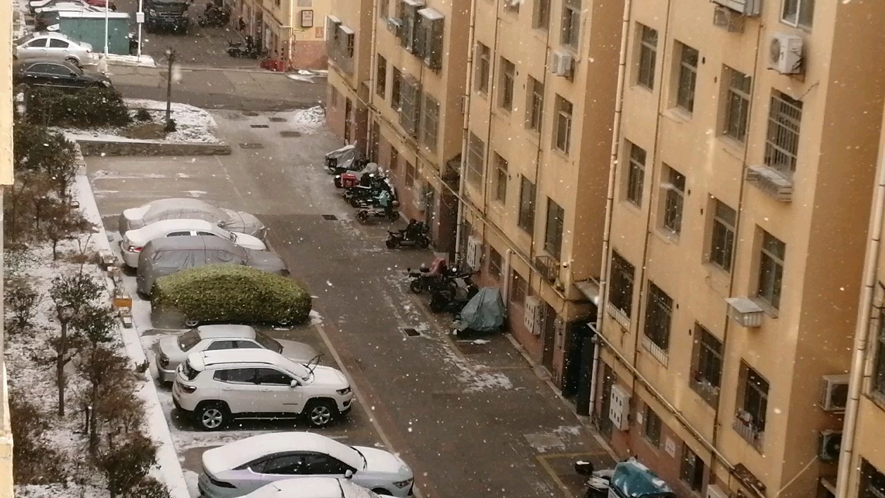 大寒今朝至，威海雪飞迟。
遥天笼玉色，疏影弄清姿。