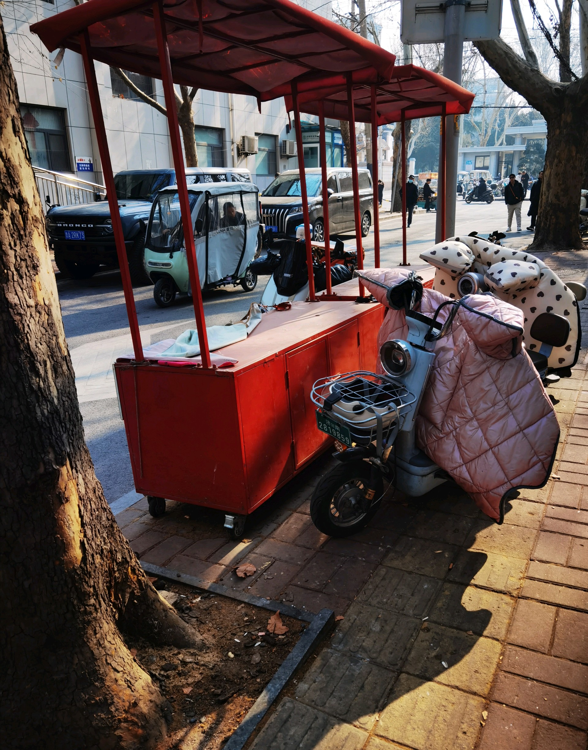 齐鲁晚报网-山东新闻门户 传播品质资讯