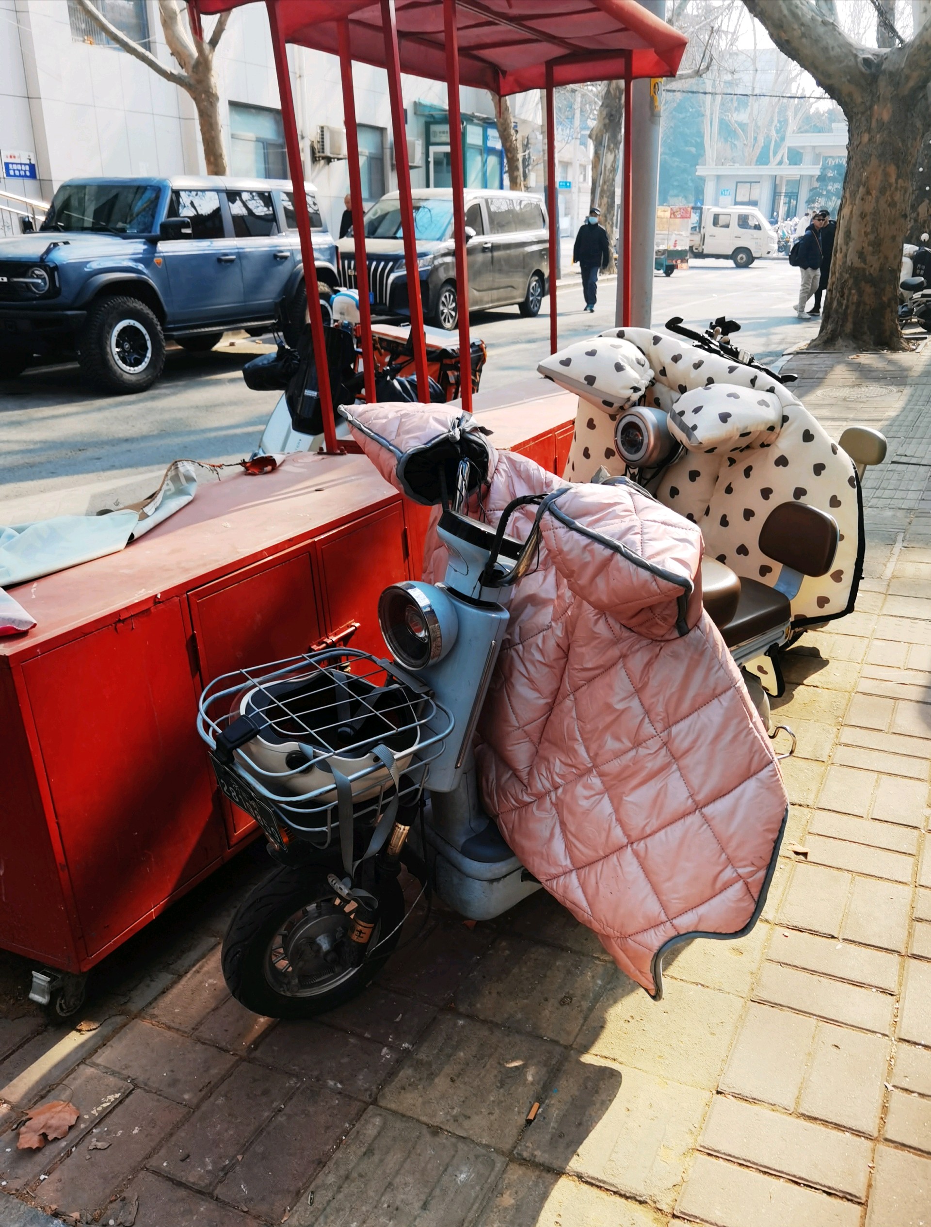 齐鲁晚报网-山东新闻门户 传播品质资讯